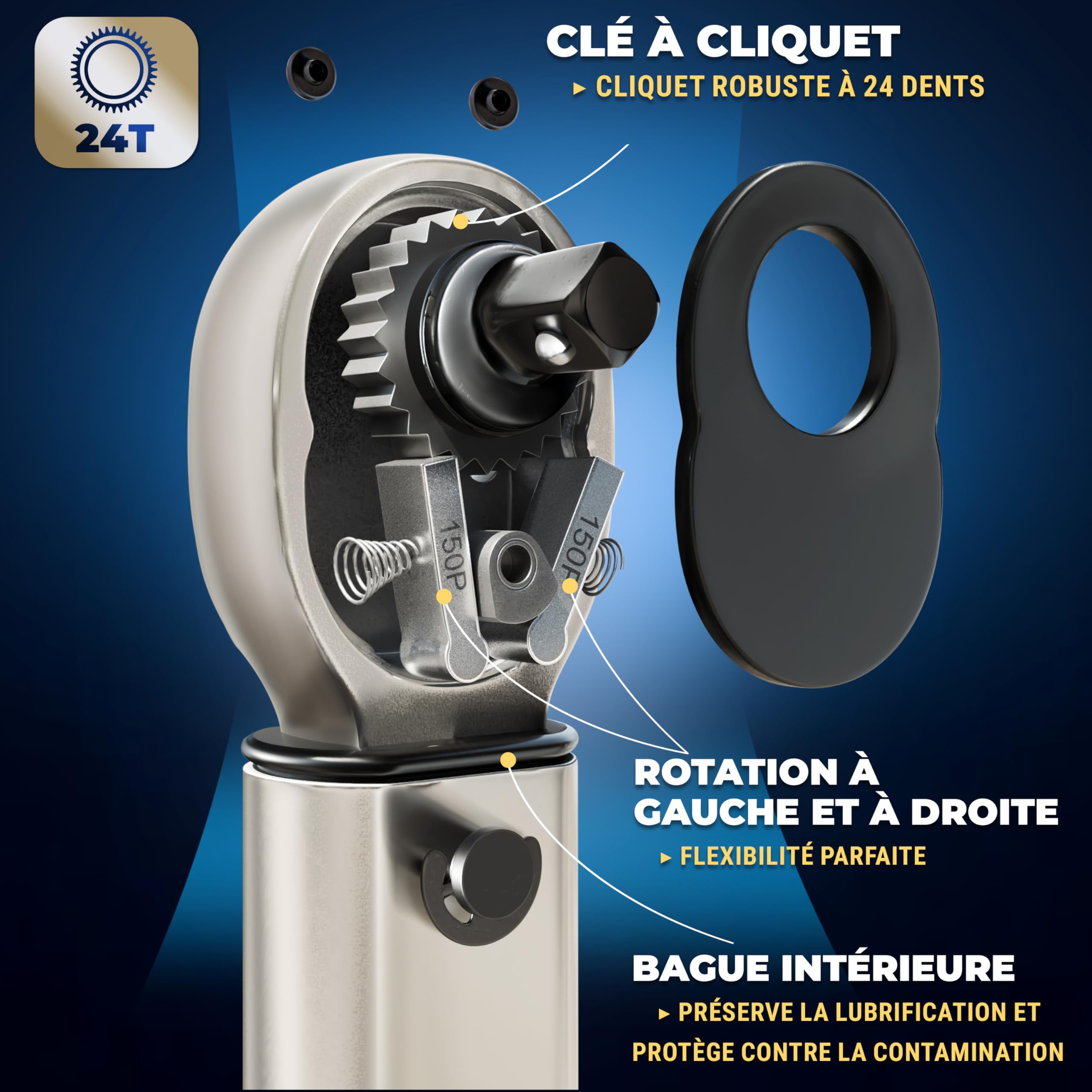S&R Clé Dynamométrique 1/4 Vélo Moto (5-25Nm) 27.2 cm. Coffret Clé avec 7 Douilles Allen Torx : H10, H8, H6, H5, H4, H3, T25 en Acier C-V. Set Professionnel et Complet