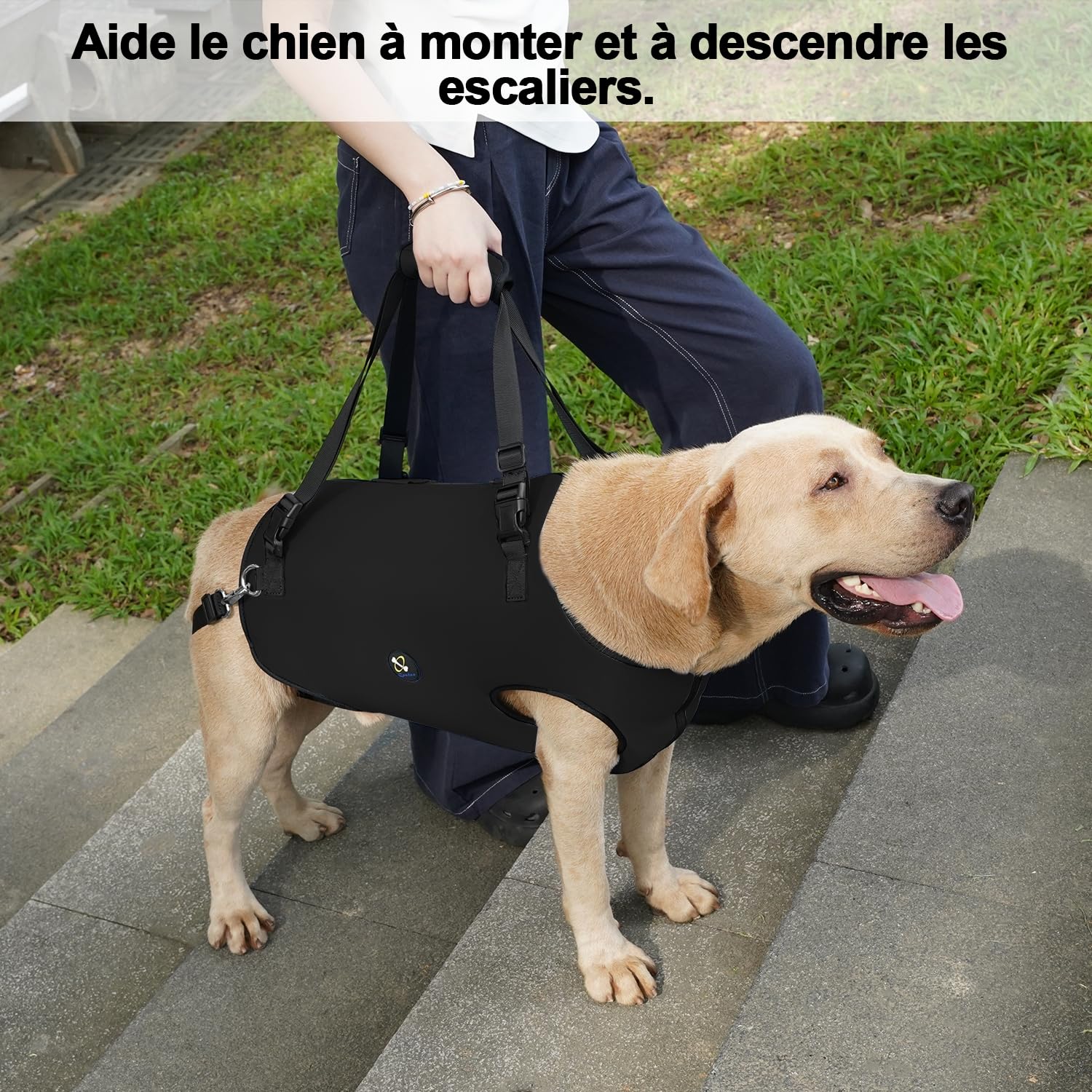 Harnais de Levage Coodeo pour Chien, élingue de rééducation avec Sangles Ajustables rembourrées Respirantes – Chiens âgés, handicapés, arthrite, blessures articulaires (Noir, XL)