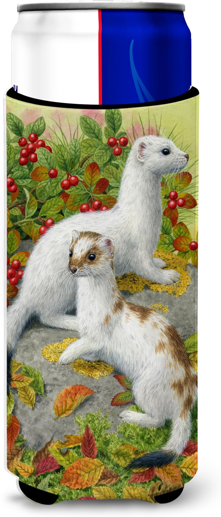Caroline's Treasures Ermine Stoat Short-Tailed Michelob Ultra Koozies for Slim Cans, Multicolor
