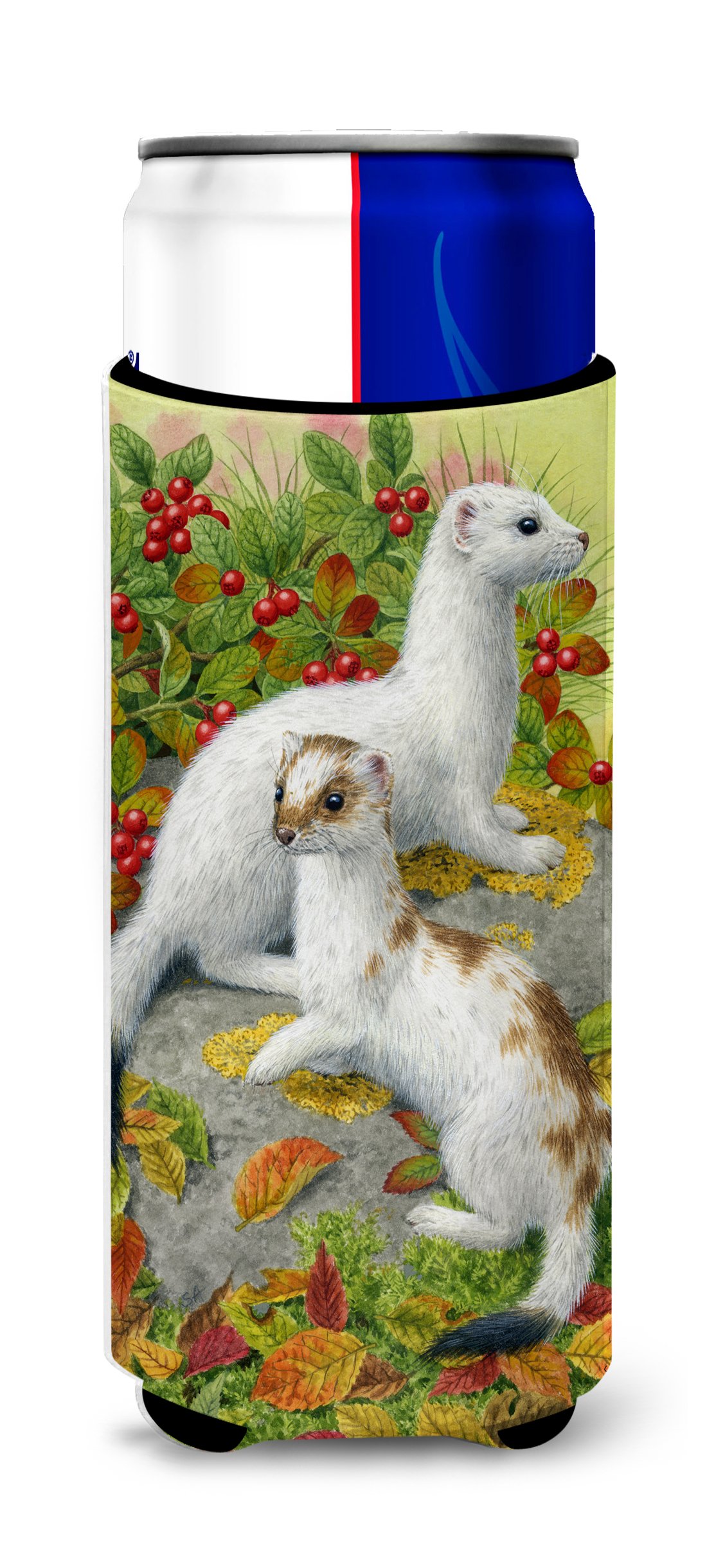 Caroline's Treasures Ermine Stoat Short-Tailed Michelob Ultra Koozies for Slim Cans, Multicolor