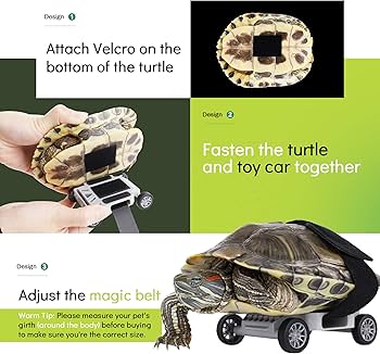 Amazon.co.jp: ACLdote 亀のスケートボード 亀のリード 楽しいおもちゃ