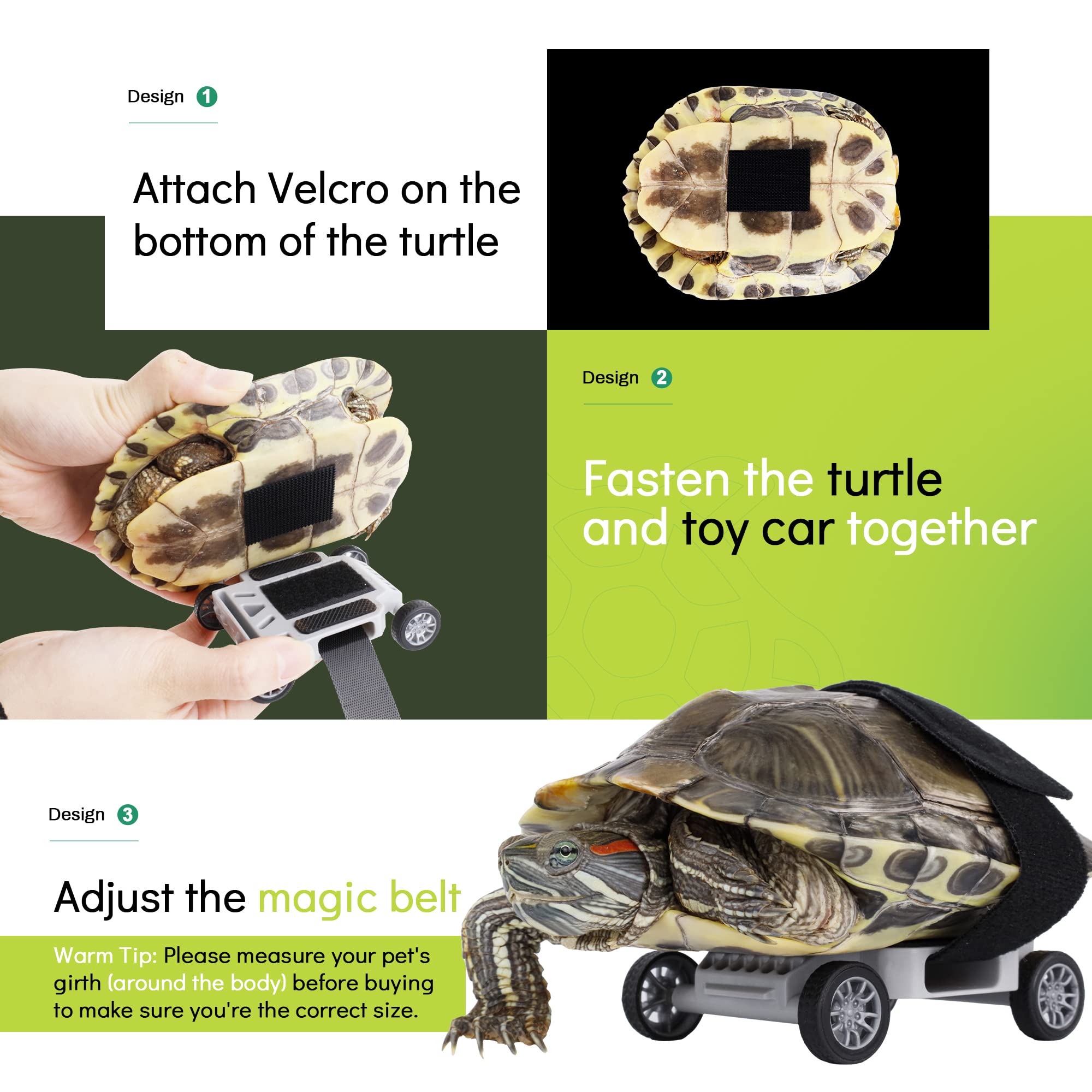 Amazon.co.jp: ACLdote 亀のスケートボード 亀のリード 楽しいおもちゃ