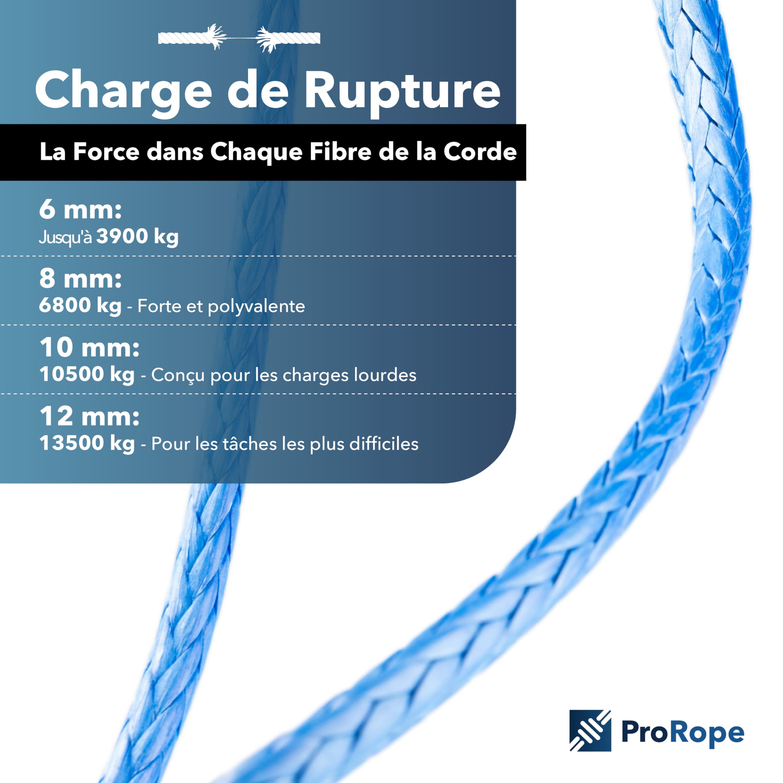 UHMWPE Premium HMPE Cordelette, corde à voile, câble de treuil, avec des diamètres à haute résistance (8 mm, 25 mètres)