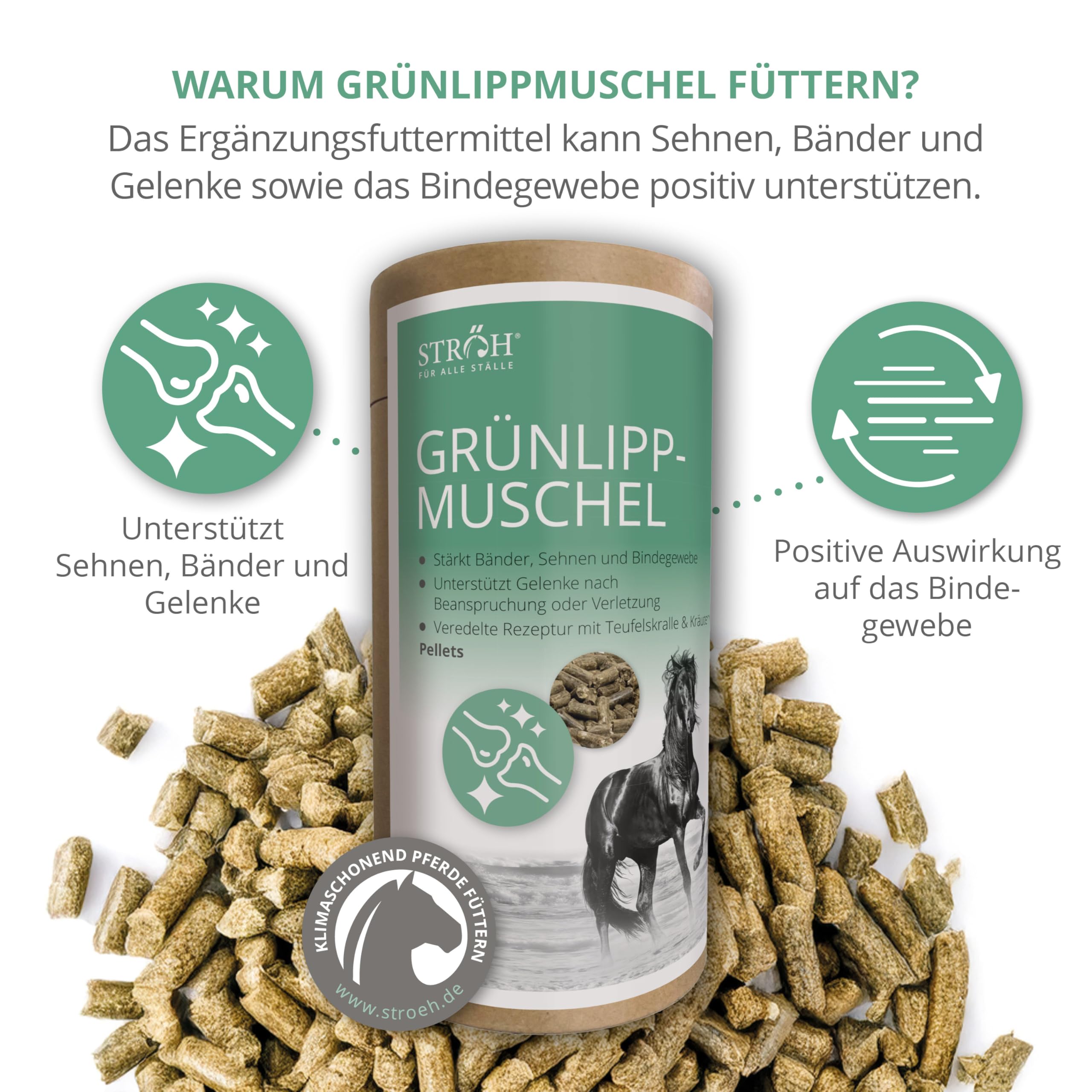STRÖH Grünlippmuschel Pellets für Pferde - 1,3 kg Feedbox Dose - Natürlich