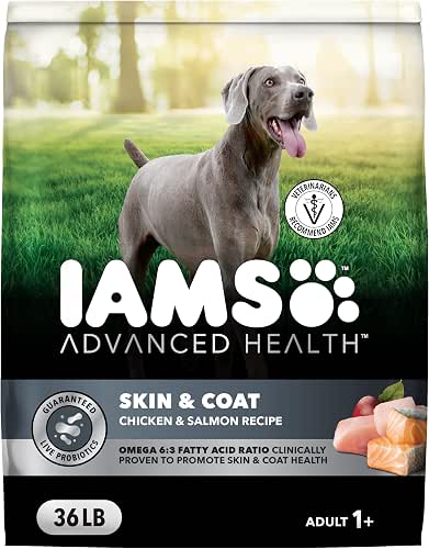 IAMS Advanced Health Skin & Coat Dry Dog Food, Adult