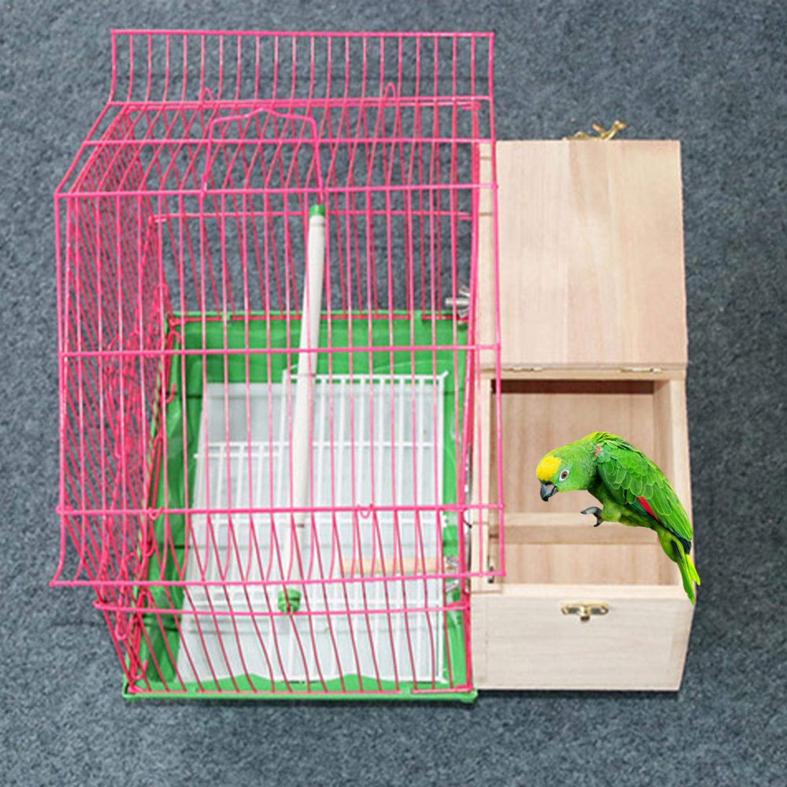 Buy kishi Alacritua Bird House Parakeet Mating Box Bird Nest Box