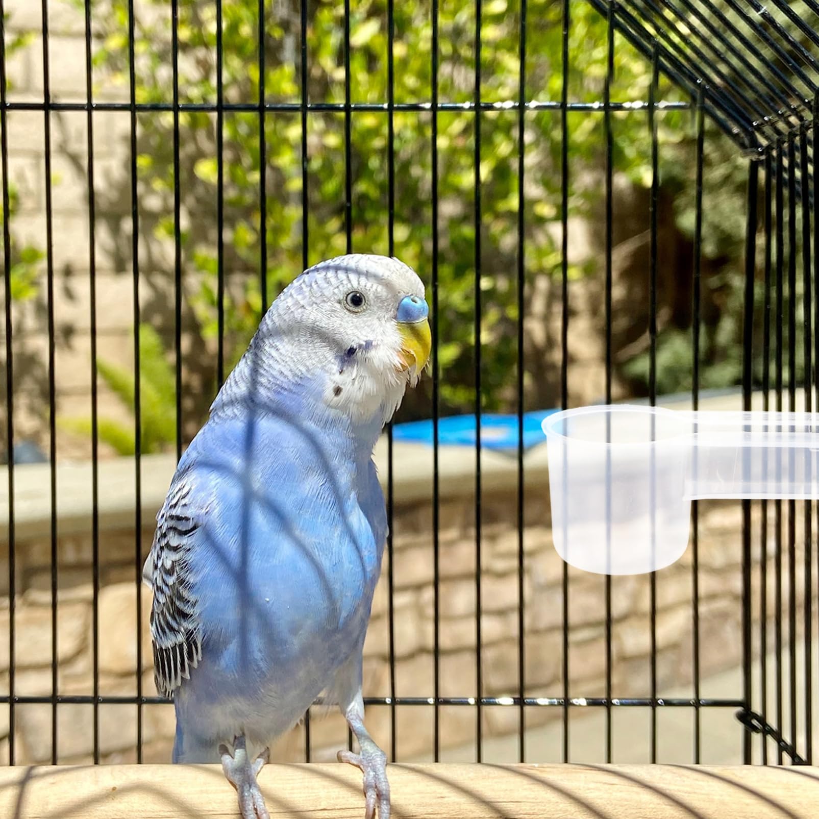 VANZACK Distributore Acqua per Uccelli 10 Pezzi Doppia Porta in Plastica Bianco, Abbeveratoio Automatico per Piccioni e Pappagalli per Casa e Zoo
