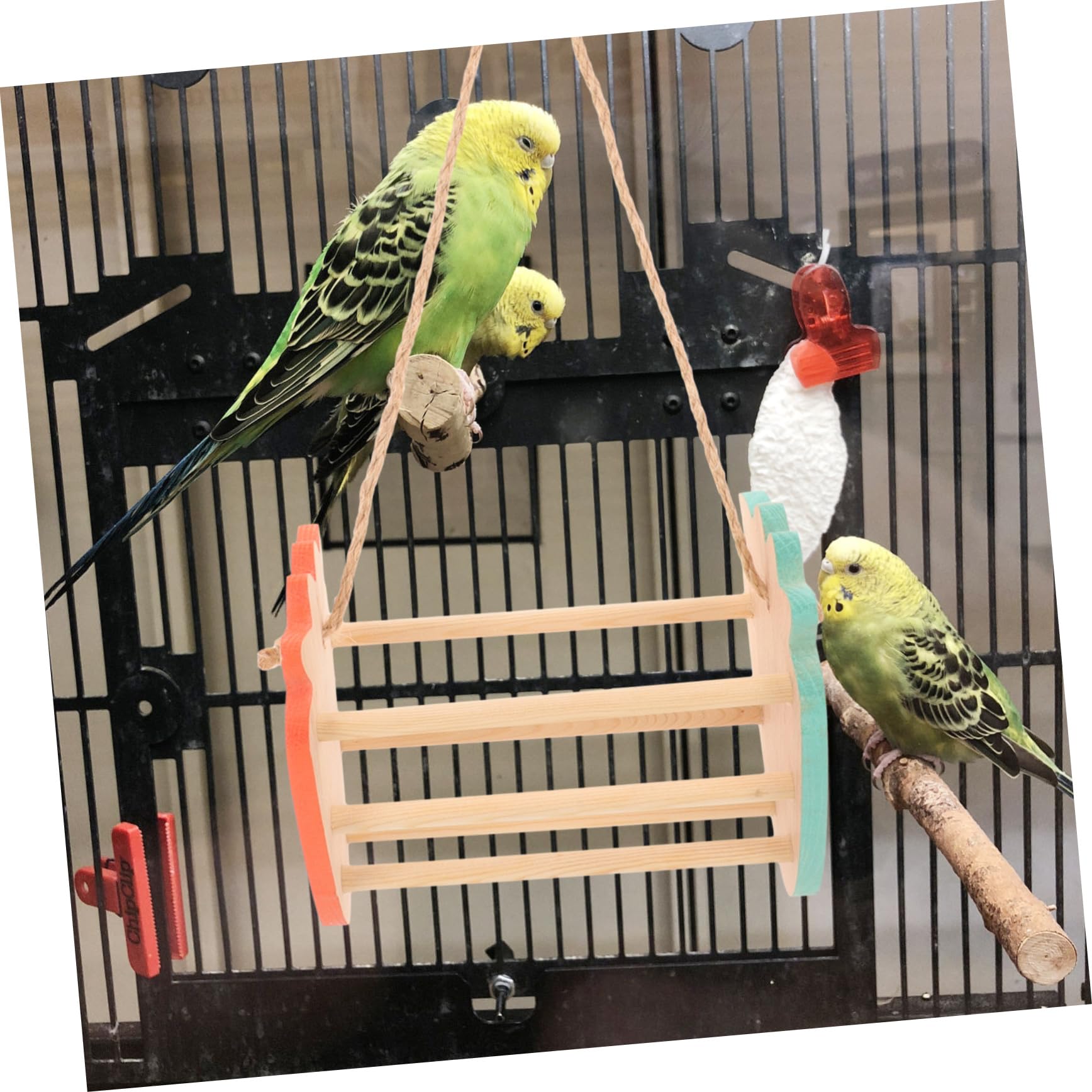 POPETPOP 5 Piezas Columpio De Juguete Columpio De Periquito De Pájaros para Tren Percha De Pájaro Juguetes De Aves para Periquitos Jaula De Pájaros Juguetes Percha De Loro De Madera