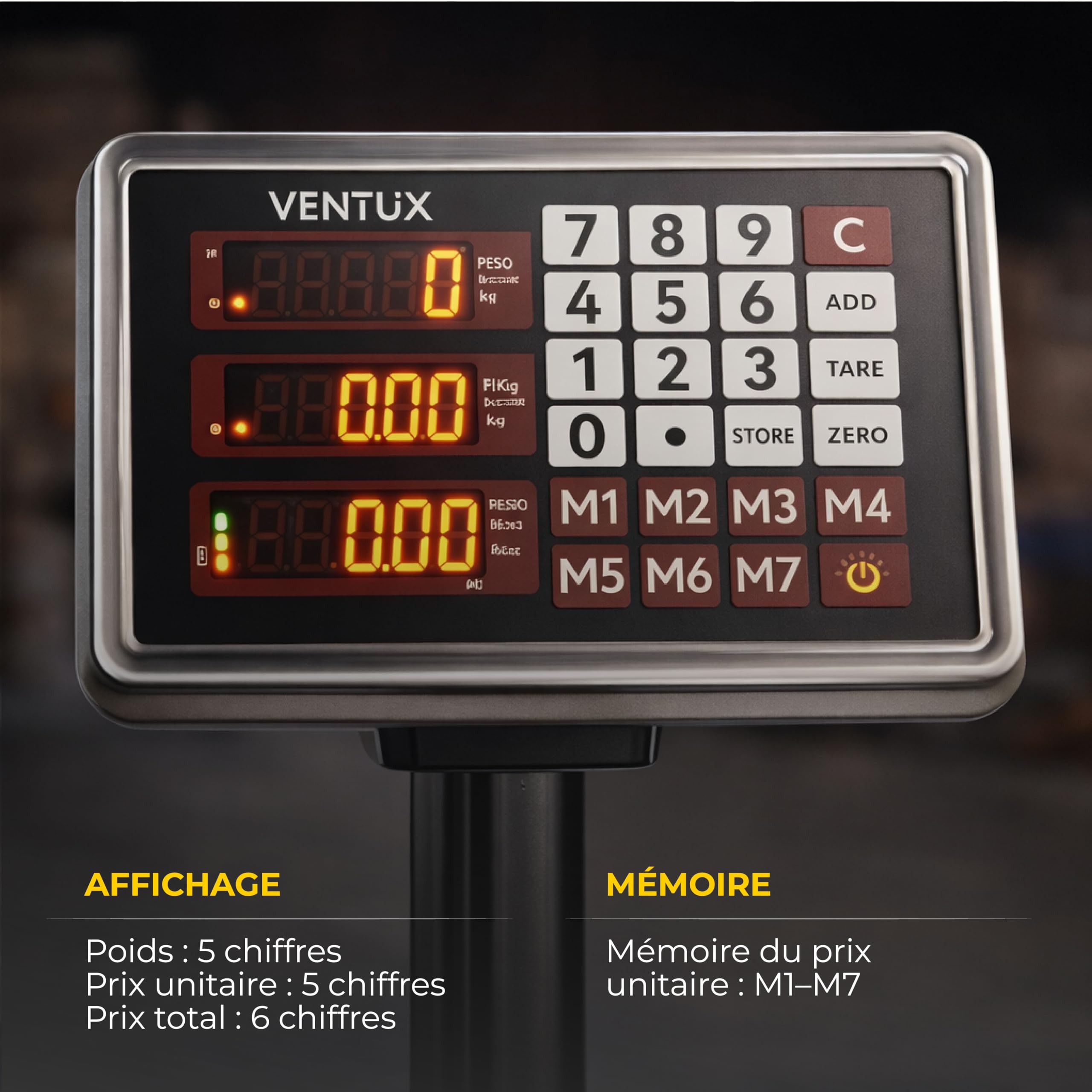Balance électronique 300 kg Division – 50 g LCD Mémoire prix | Écran séparé · Rétroéclairage · Double alimentation · Arrêt automatique · Conforme 2014/35/UE · ce