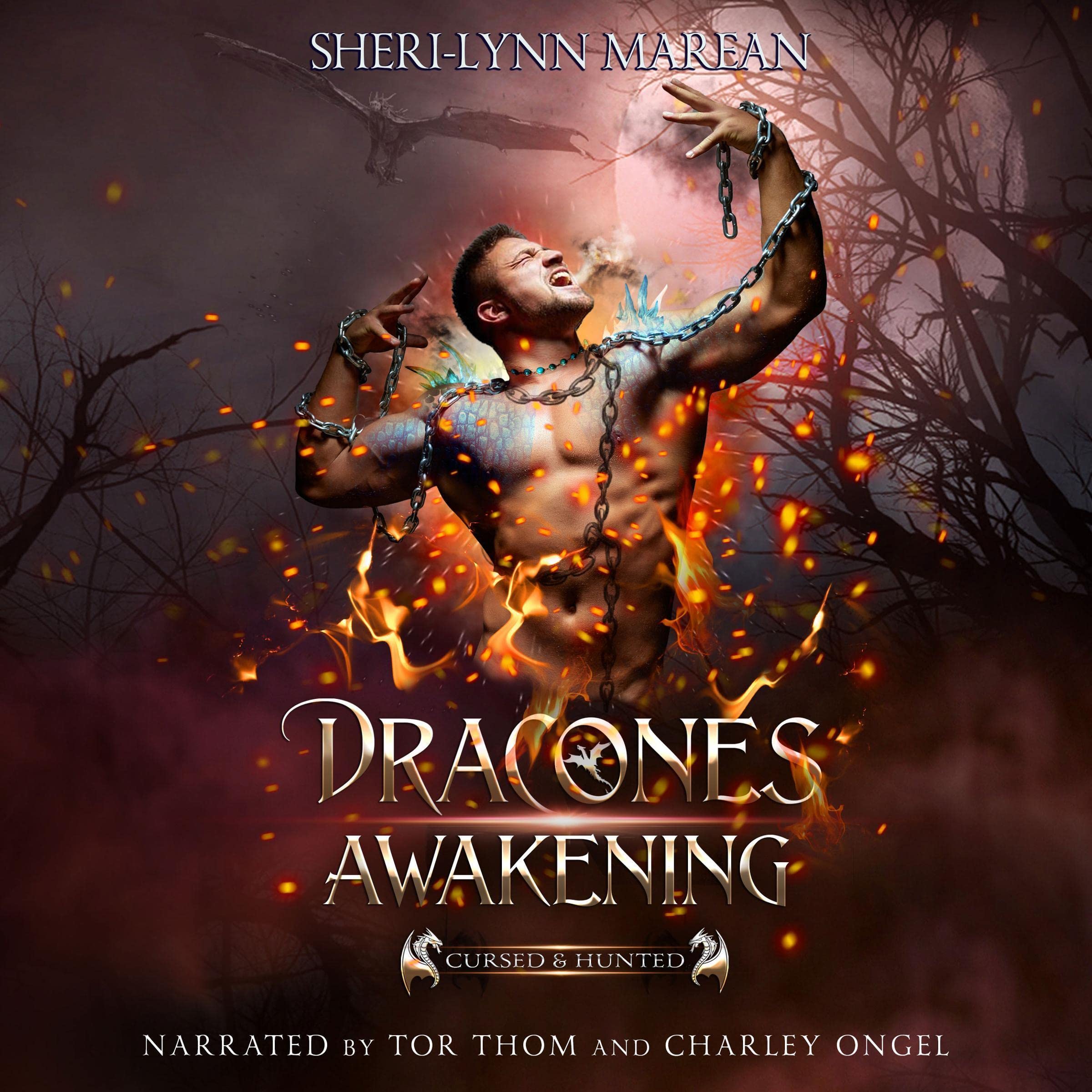 Cover art for Dracones Awakening: Book One