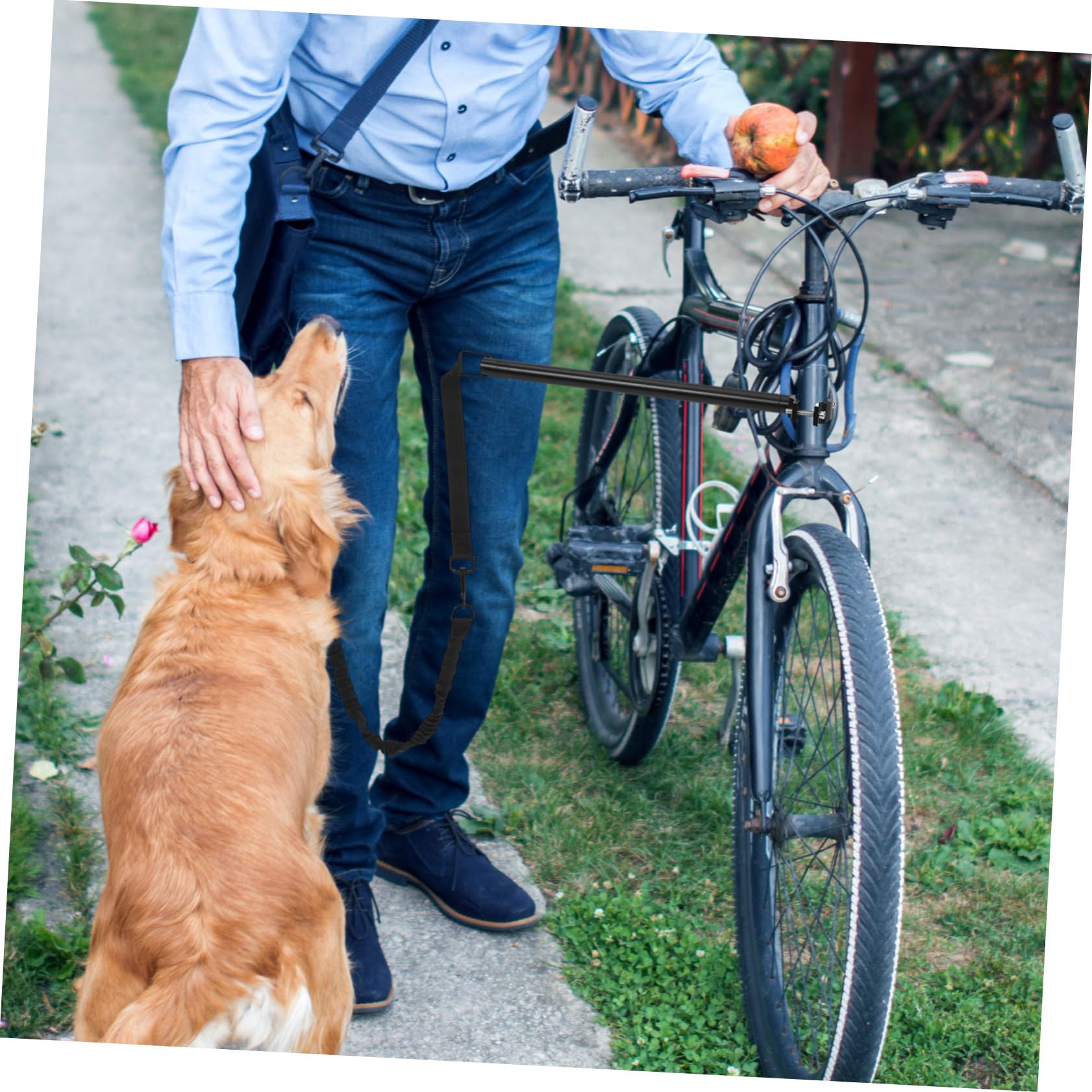 BESPORTBLE Guinzaglio Per Cani Per Andare in Bicicletta Resistente Allo Strappo Regolabile Corda Di Trazione Antinodo Per Passeggiate All'aperto e Addestramento Animali Domestici