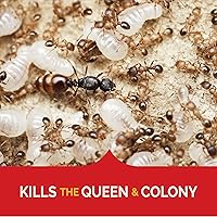 Vista 3 de Hot Shot Cebo para hormigas ultra líquido, 4 unidades, 1 paquete