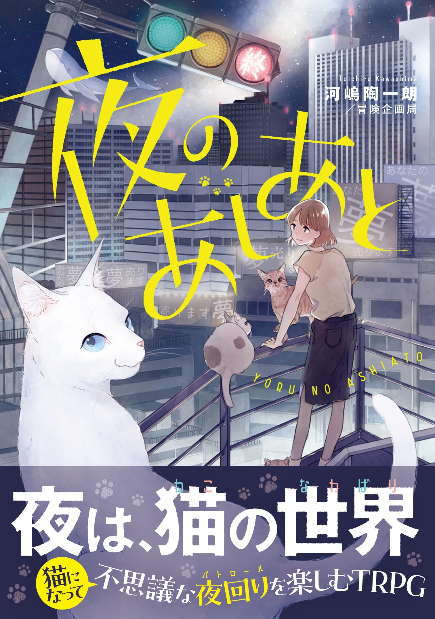 活動歴および当時の関連ビジュアル記録