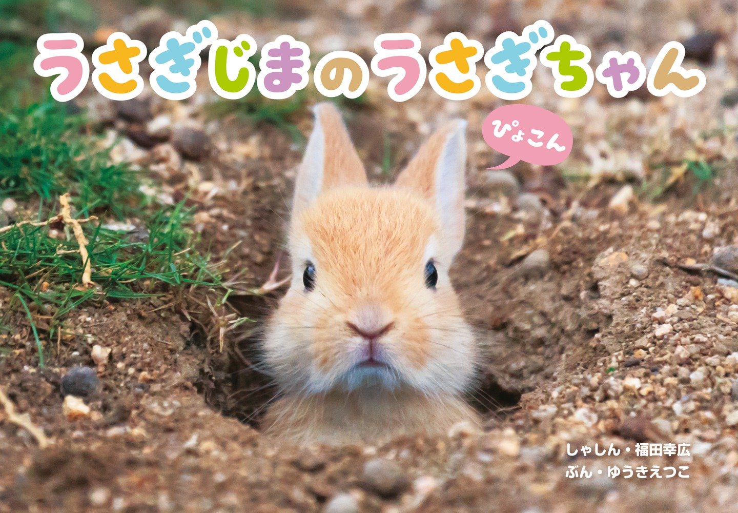 うさぎのラビちゃん　ささやすゆき著　PHPのえほん12　初版本 PHP研究所 うさぎのラビちゃん ささやすゆき著 PHPのえほん12 初版本 PHP研究
