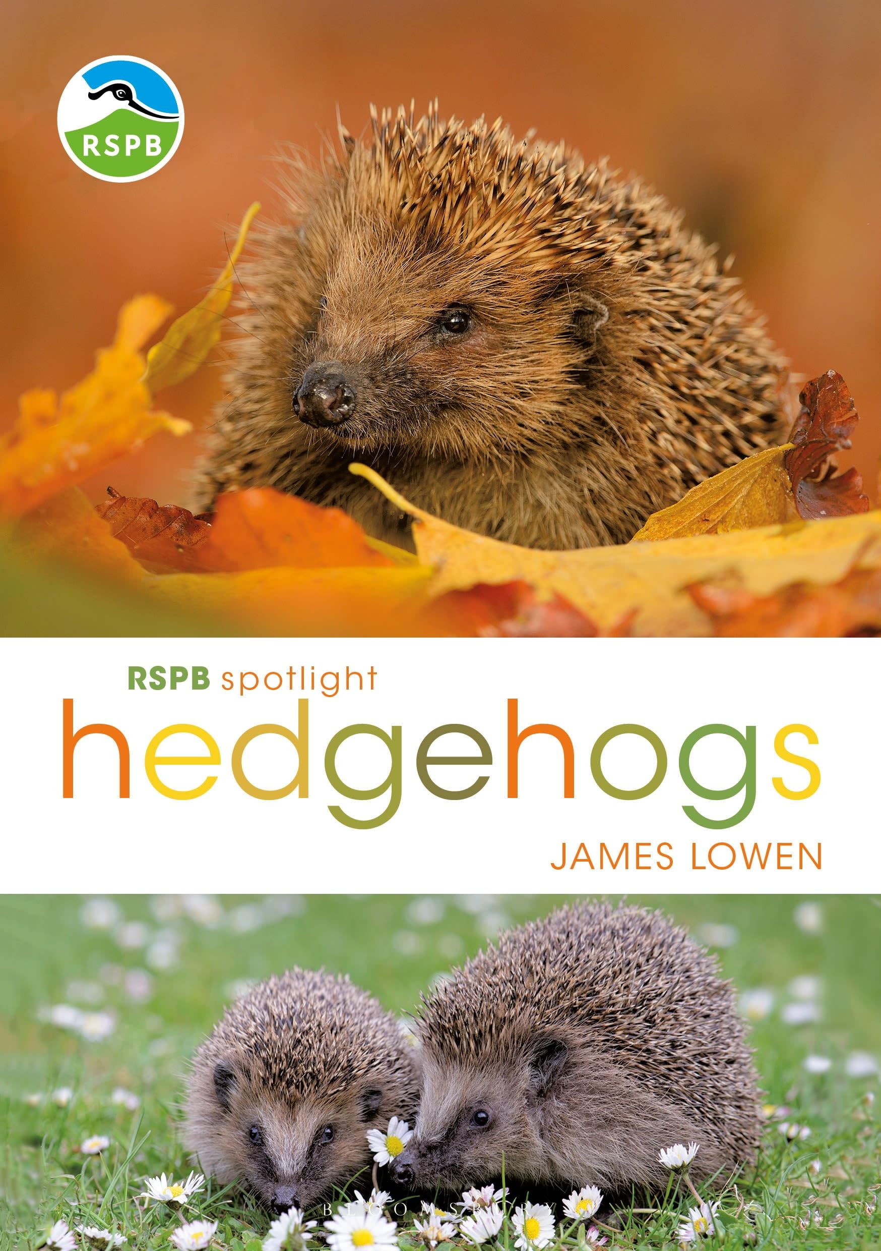 RSPB Spotlight Hedgehogs,James Lowen