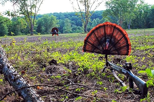 Miniatura 4 de MOJO Outdoors Turkey Hunting Decoys and Accessories