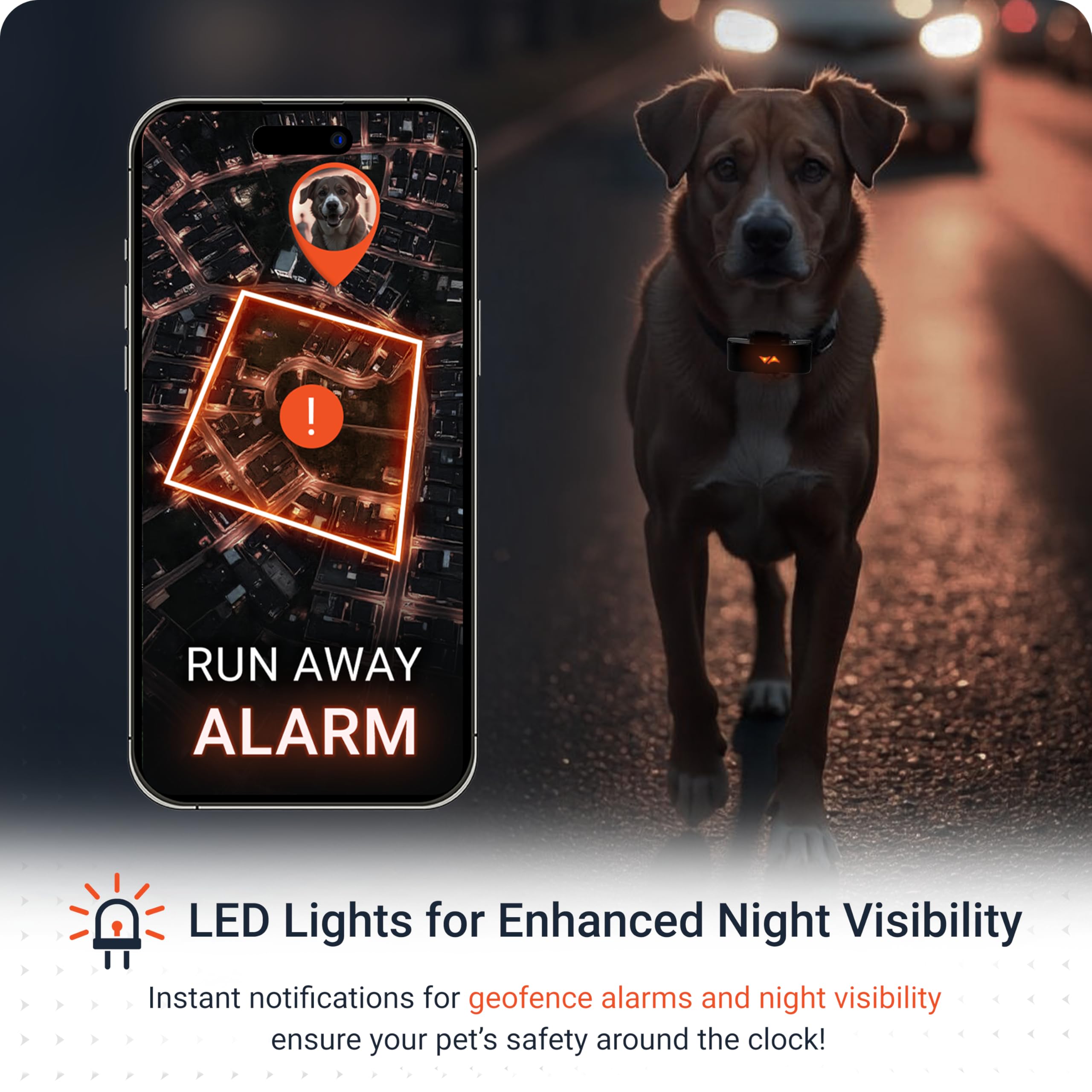 PAJ GPS Dog Tracker 4G Real-Time Tracking Device with Runaway Alerts and Light LED Glowing Dog Collar with 7 Color Modes and Waterproof Smart App Health Activity, Can Fit 7.8" to 27", Black — Bundle - image 6