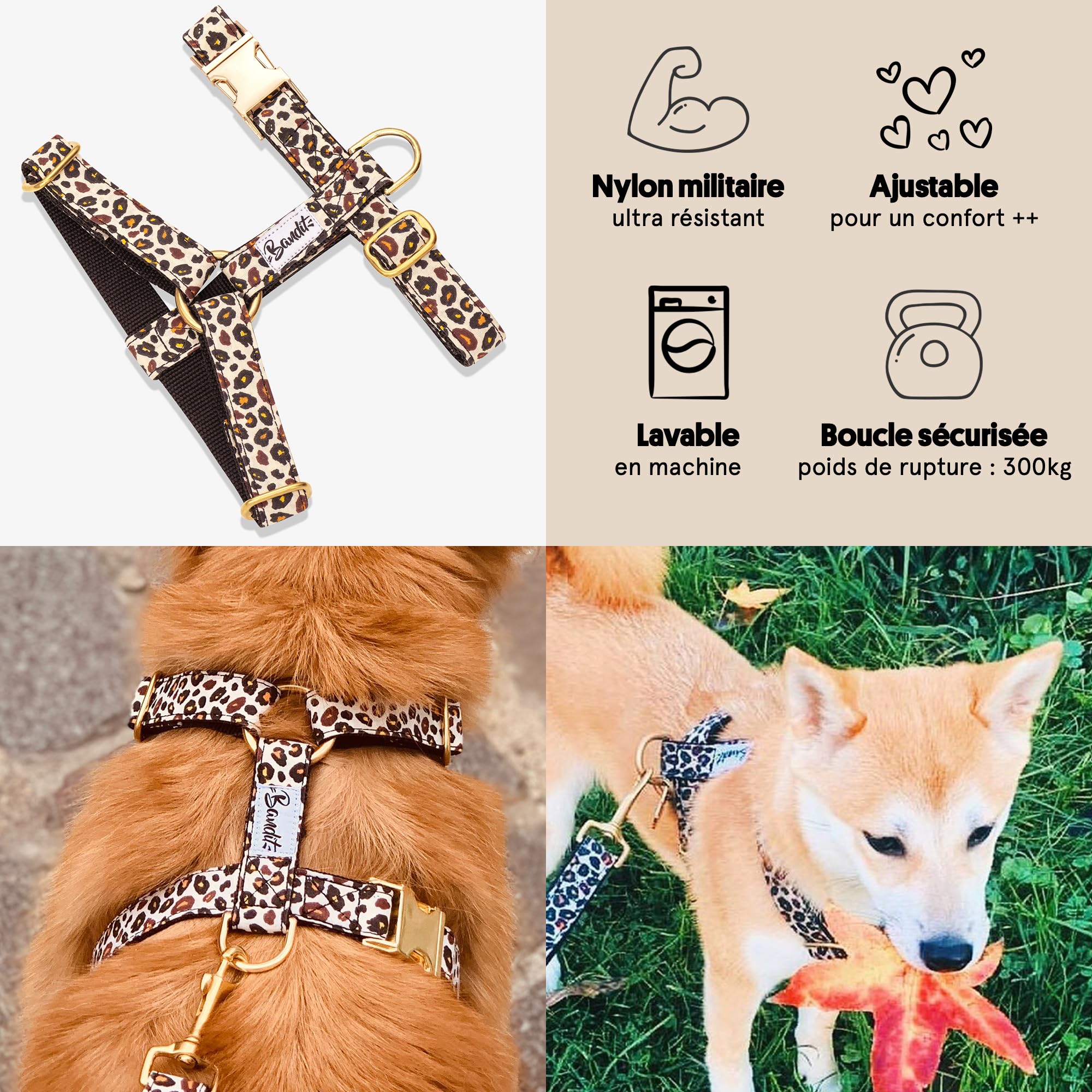 Bandit - Arnés para perro con diseño de leopardo elegante, talla XS | Circunferencia del cuello: 23-30 cm, pecho 29-34 cm, hebillas de latón, nailon, ajustable, duradero y lavable a máquina