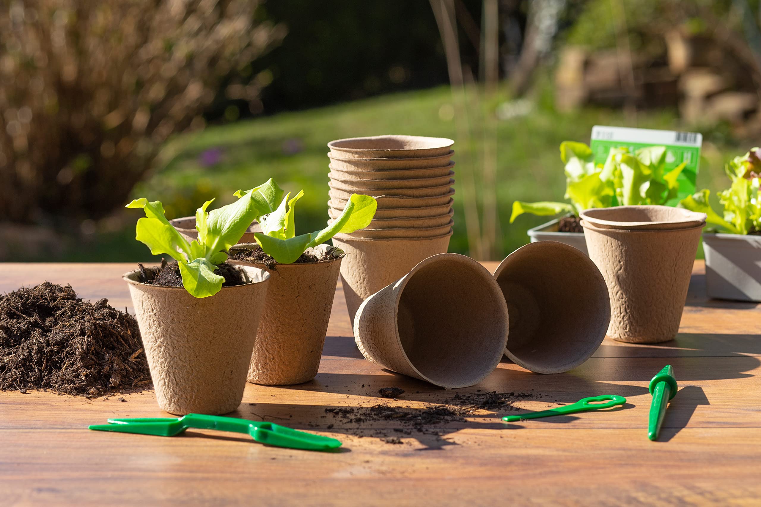 Vasi Da Coltivazione Biodegradabili Meister - Set 96 Pezzi 6x6cm In Cartaporcellana