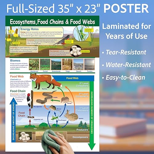 Miniatura 3 de NewPath - Póster de ecosistemas, cadenas alimentarias y redes alimenticias, laminado, a todo color, 23 x 35 pulgadas (34-6111)