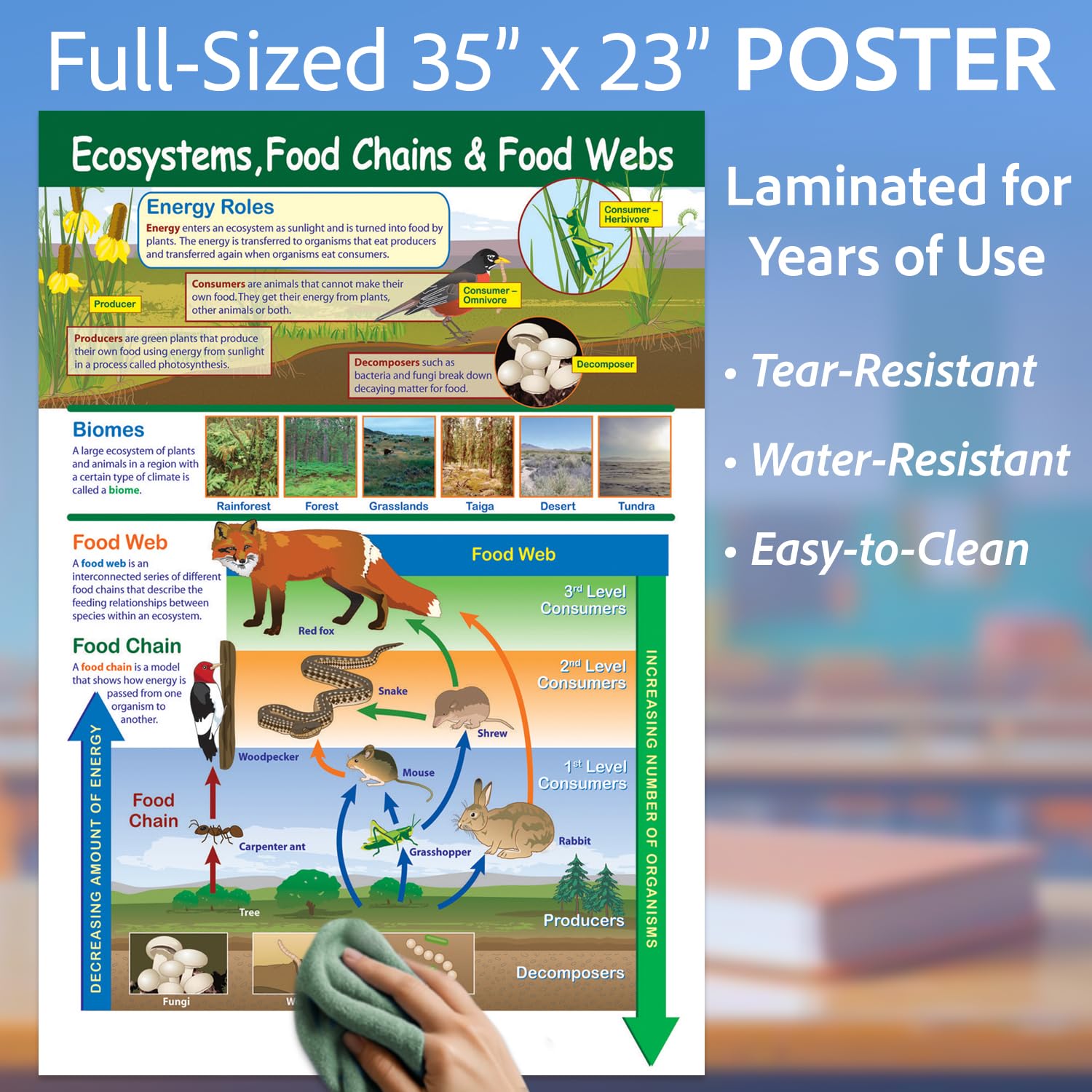 Amazon.co.jp: 生態系 食物チェーン 食物巣 ポスター ラミネート加工