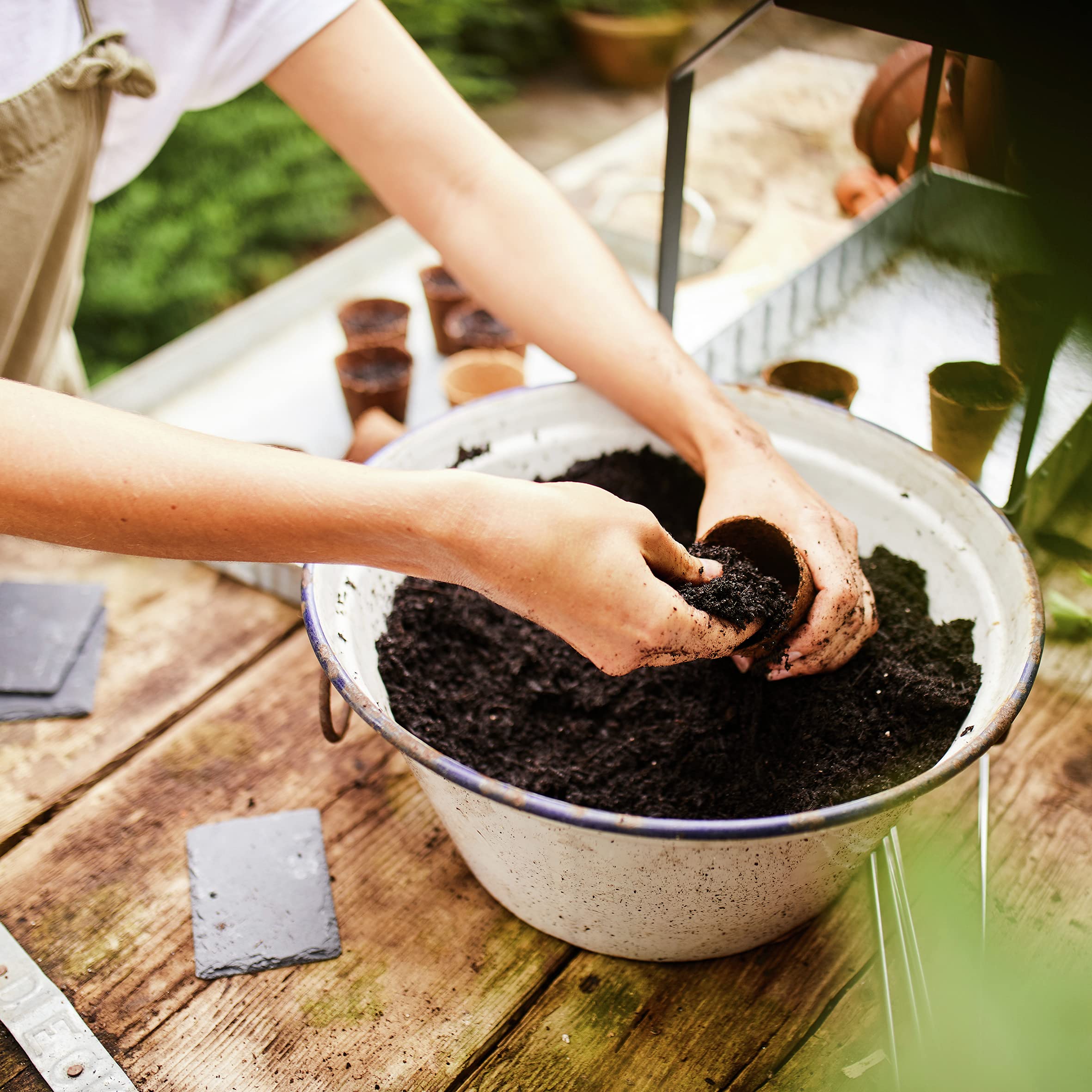 COMPO Organic and Herbal Soil for Seedlings, Herbs, Cuttings and Young  Plants, Peat-Free Potting Soil, 10 Litres : Amazon.com.be: Garden