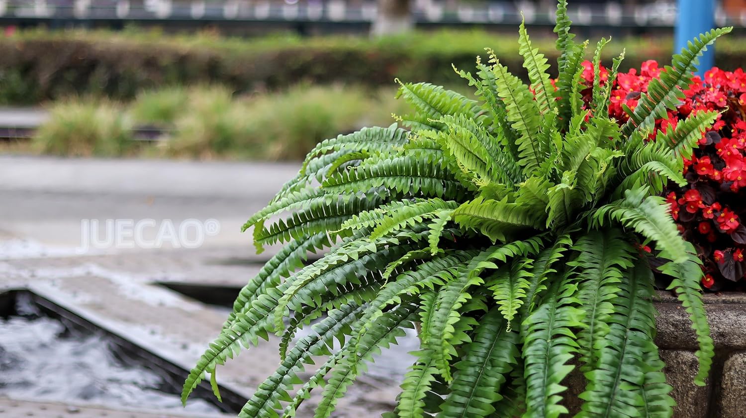 Large Artificial Boston Fern 68" Fake Ferns Silk Artificial Plants for Outdoor Planter Patio Home Office Garden Porch Faux Greenery Decor - Image 9