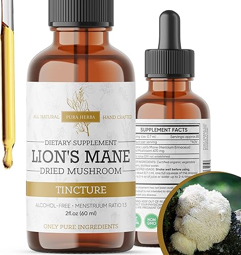 Gotas líquidas de hongo melena de león - Soporte para el cerebro, la concentración y la memoria - Extracto orgánico de Hericium Erinaceus -