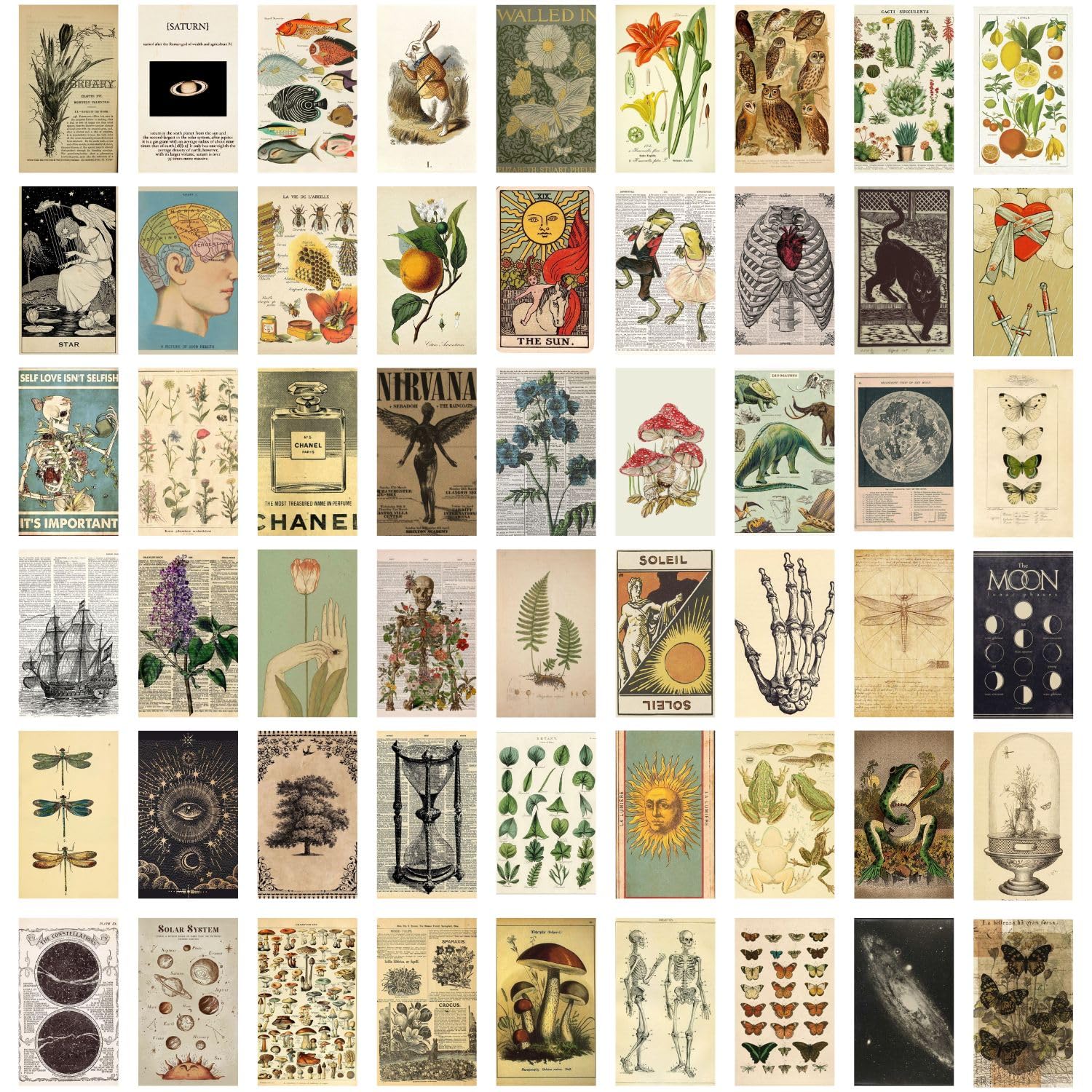 Kitty Cat® Vintage Wall Art Aesthetic Wall Collage Kit || 54 Unique Poster Set + Free Tape, 4x6in Each, Posters: Dorm, Hostel Essential, Aesthetic Room Decor (Vintage)