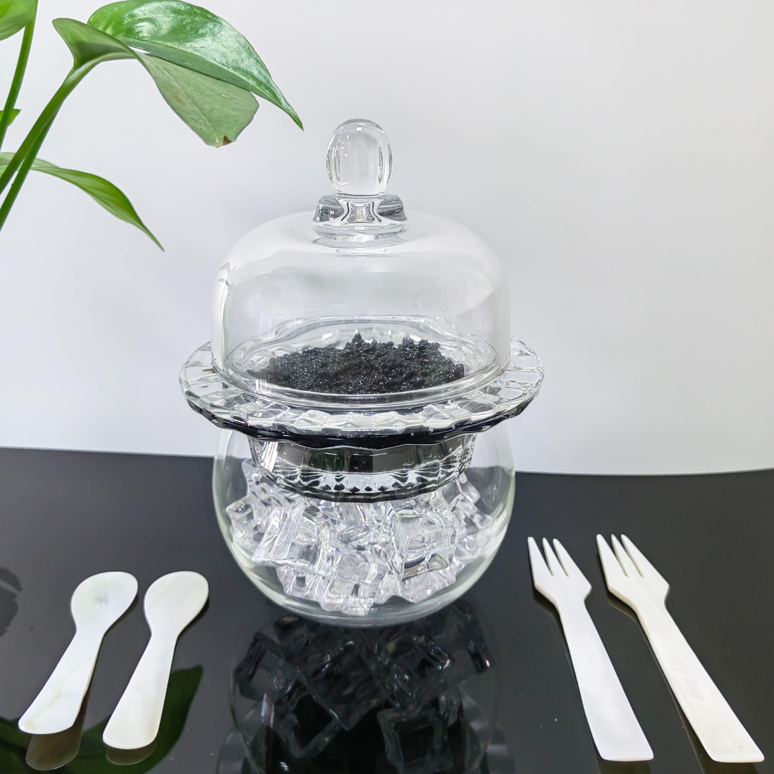 Chilled Glass Caviar Dish with Shell Spoons With Lids Elegant Serving Tray with Ice Underneath for Caviar Shrimp and Party Appetizers chip and dip bowl ice cream