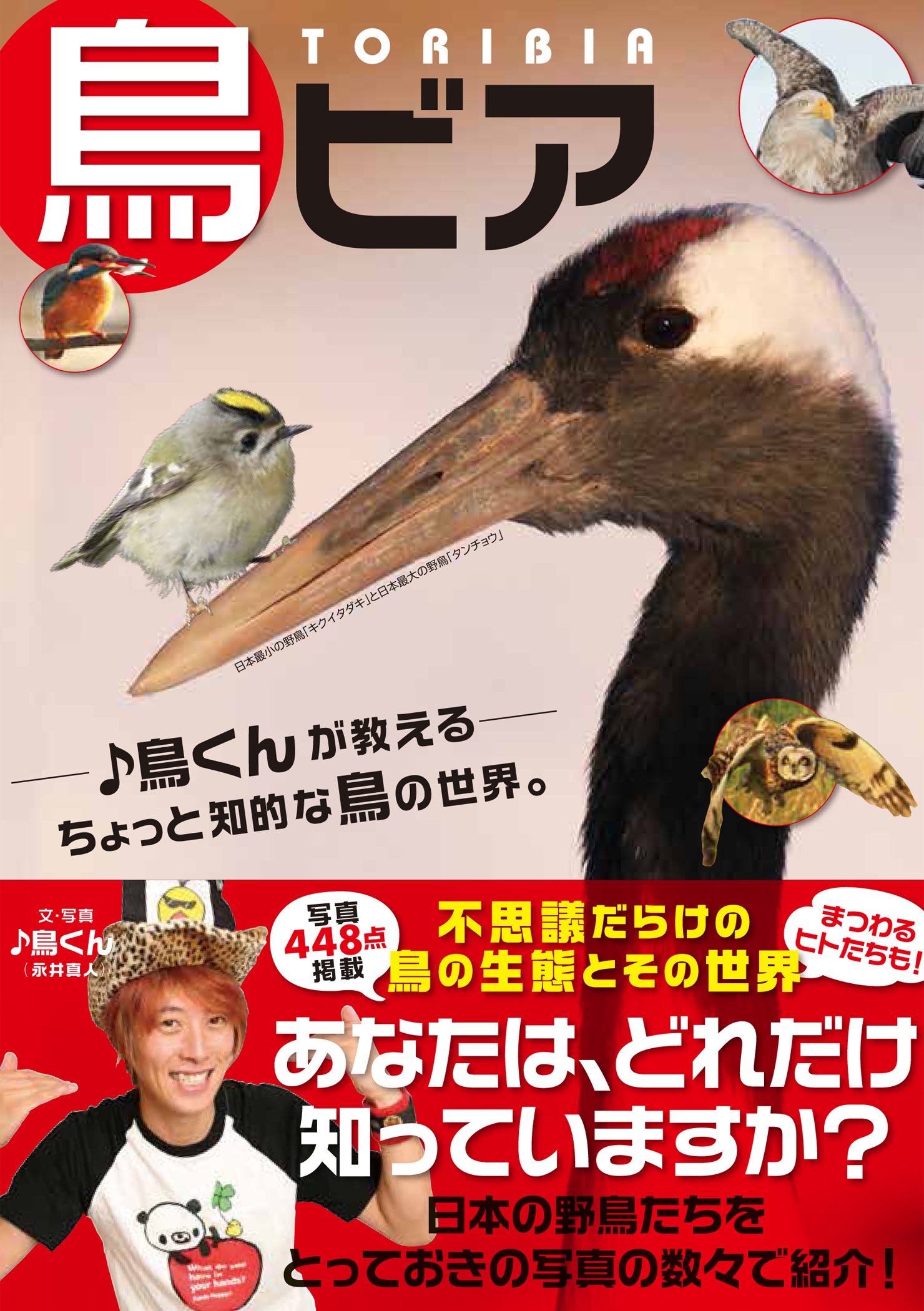 鳥ビア | ♪鳥くん(永井真人) |本 | 通販 | Amazon