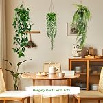 6 Pack Potted Artificial Plants for Decor Indoor, Fake Plant with Vines On Wall Decor, Plante Artificielle Interieur for Home Decor and Office Decor, Fake Hanging Plants Decor Indoor with Pots