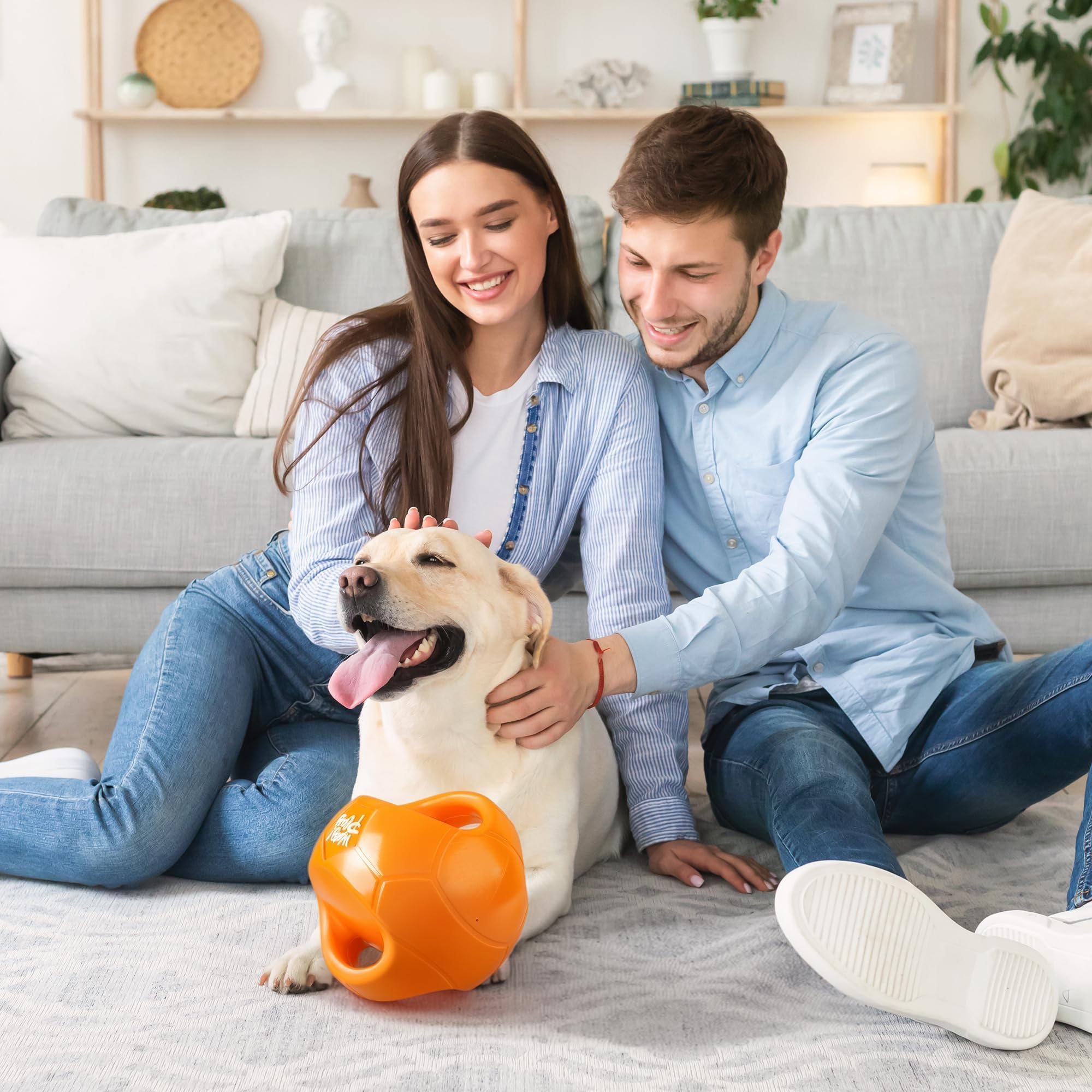ALL FOR PAWS Hundeballspielzeug für mittelgroße & große Hunde, Hundebälle zum Tauziehen & Apportieren, Apportierspielzeug mit Griffen und Kicher-Quietscher, Orange