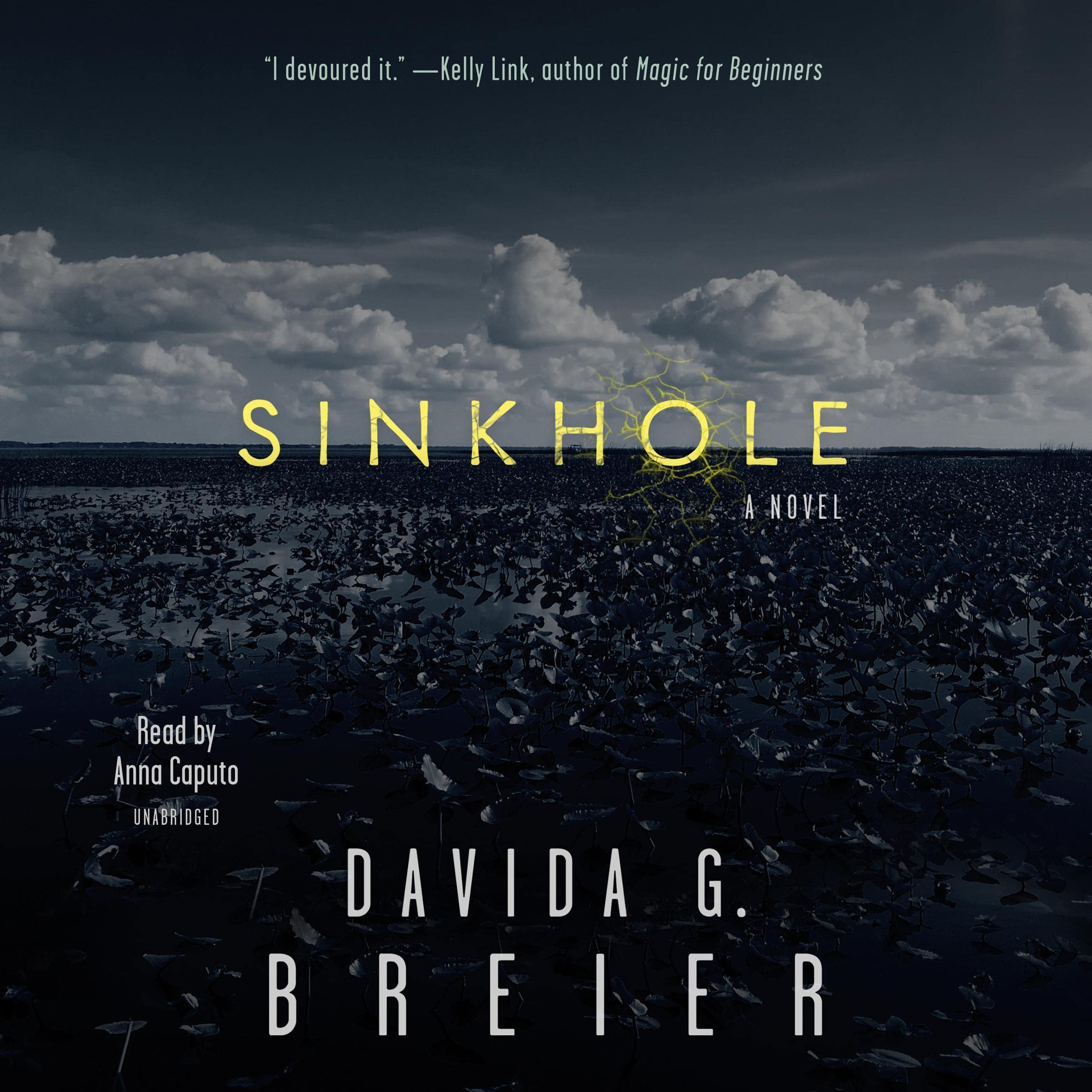Cover art for Sinkhole