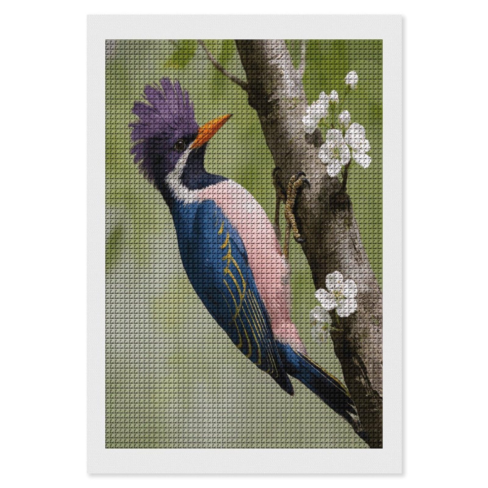 FodPand Woodpecker Diamond Painting Kit for Beginner Fun 5D DIY Crafts for Adults Diamond Art Kits Square Diamond Art Canvas Painting Gem Art Crafts for Home Wall Decor 8"x12"