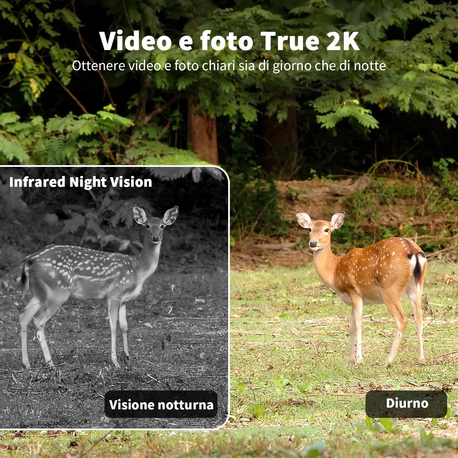 Fotocamera da Caccia 4G con SIM, 2K Telecamera Esterna con Pannello Solare e APP, 360° PTZ Fototrappola Infrarossi Invisibili, Visione Notturna a Colori, Audio a 2 Vie, Rilevamento Animali, IP66