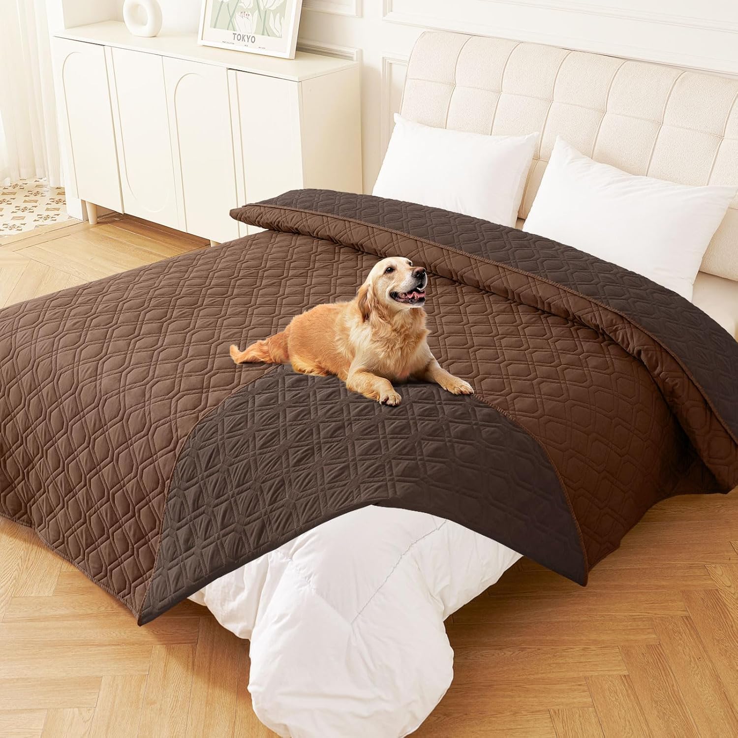 Homaxy Hundedecke Wasserdicht,Hundematte Outdoor Waschbar, Wendedecke Hunde Decke, Weich Katzendecke für Sofa Couch Bett Unterwegs