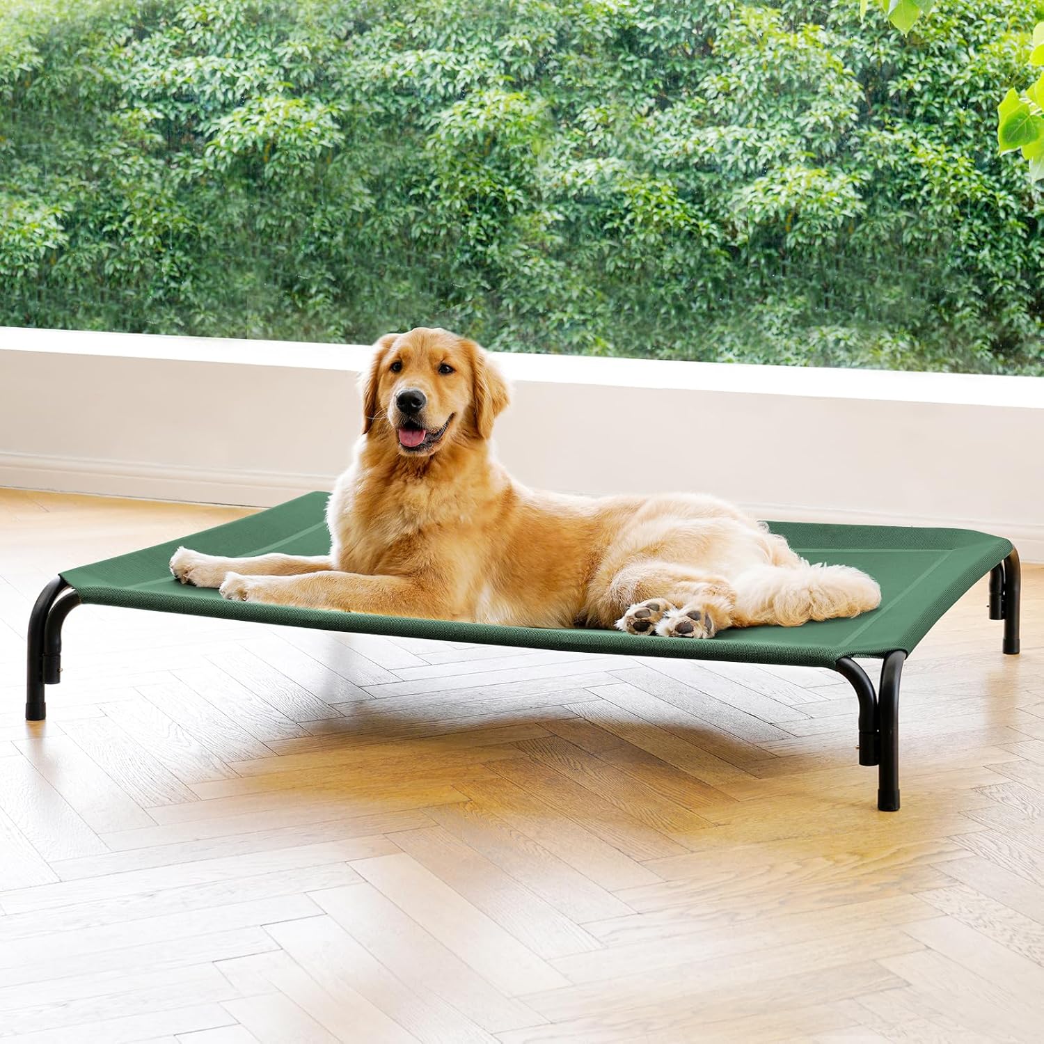 Elevated Dog Bed Raised Outdoor Dog Cot for Extra Large Dogs, Installation Requires No Tools, Frame with Washable Cooling Breathable Mesh Anti-Slip Feet, Indoor Pet Bed, Green, 48.8 Inches XL-48.8"L×35.8"W×7.9"Th Green