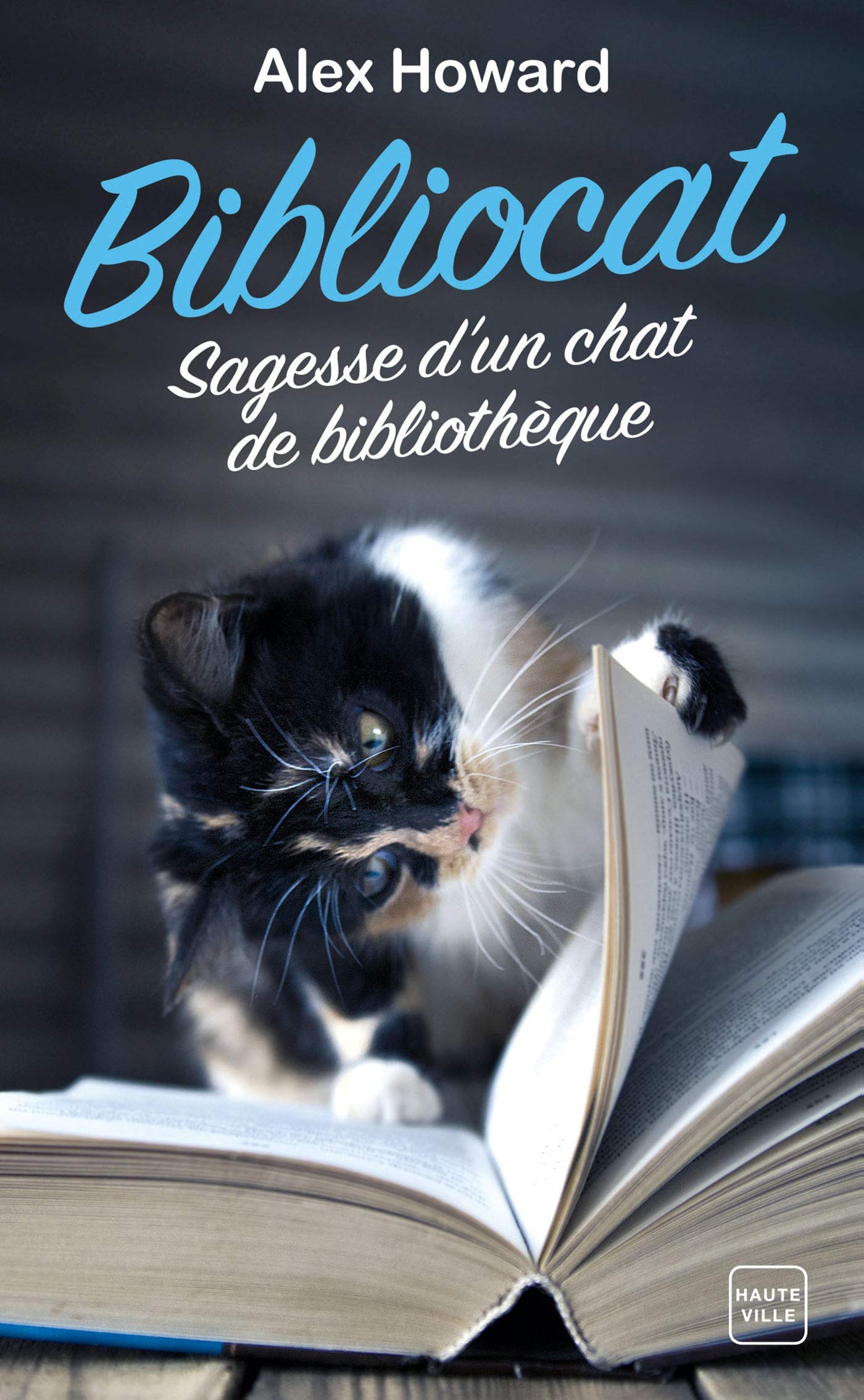 Bibliocat. Sagesse D'Un Chat de Bibliothèque (Hauteville)