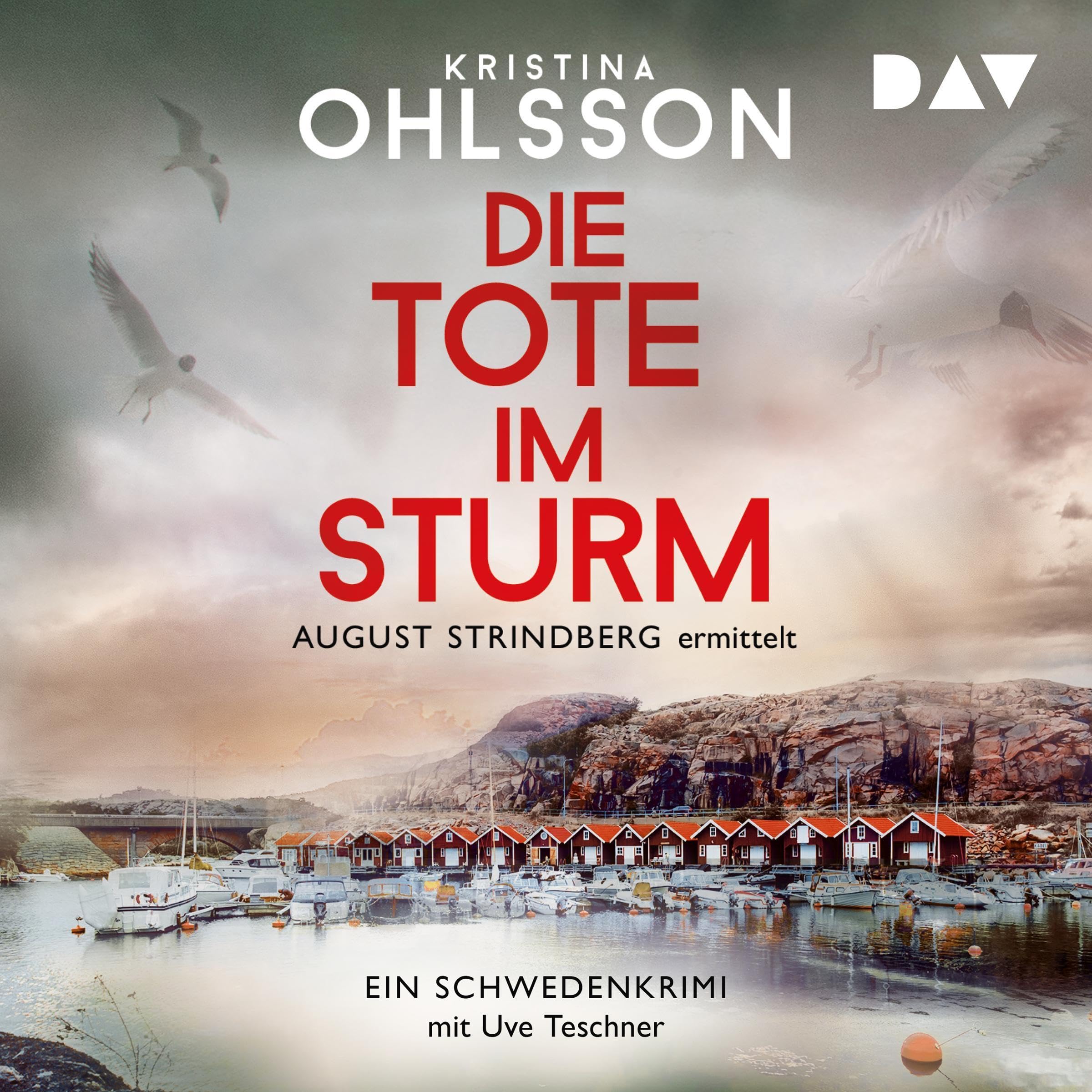 Cover art for Die Tote im Sturm