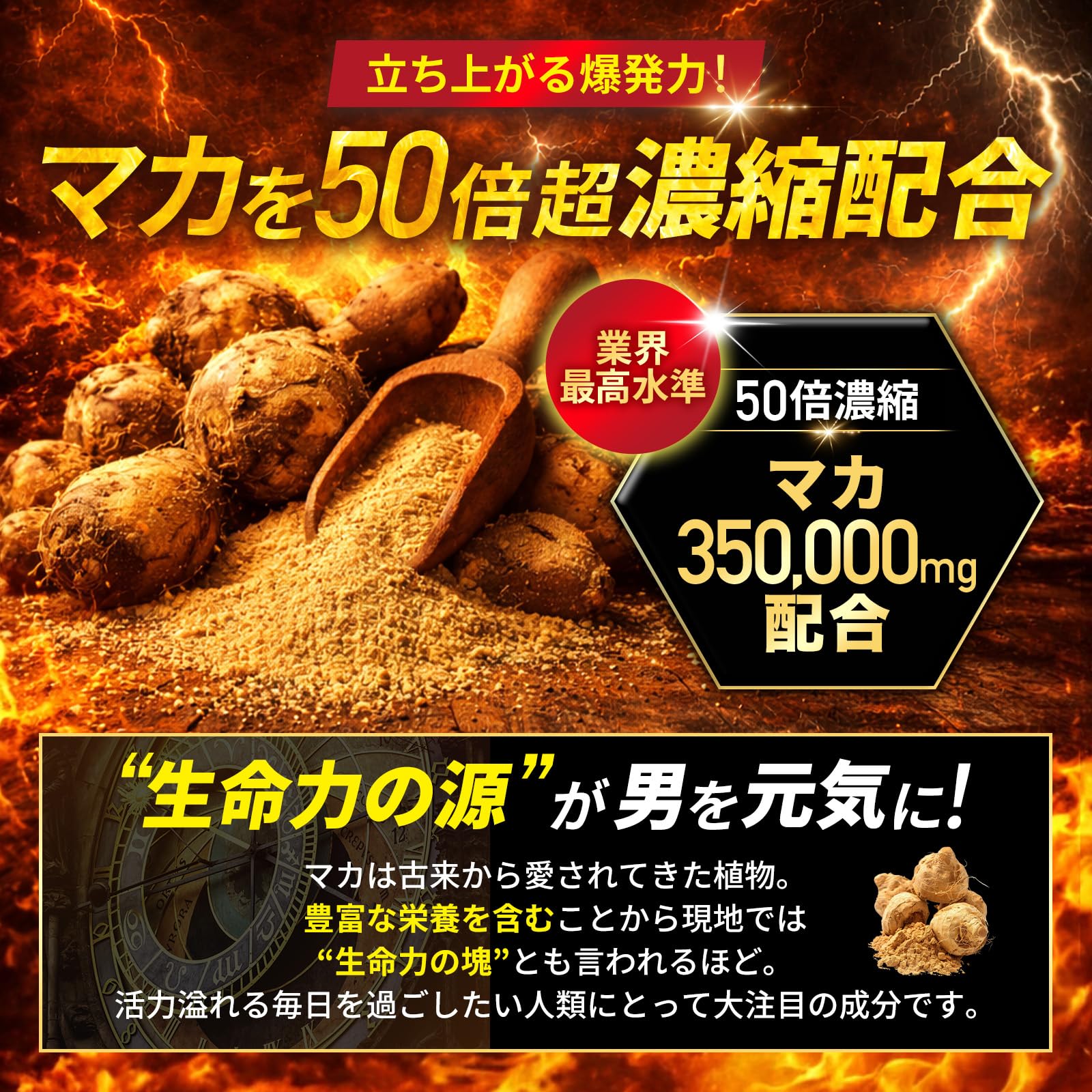 Amazon | 【医師監修】MACA FORCE 50倍濃縮 マカ サプリ 350,000mg 