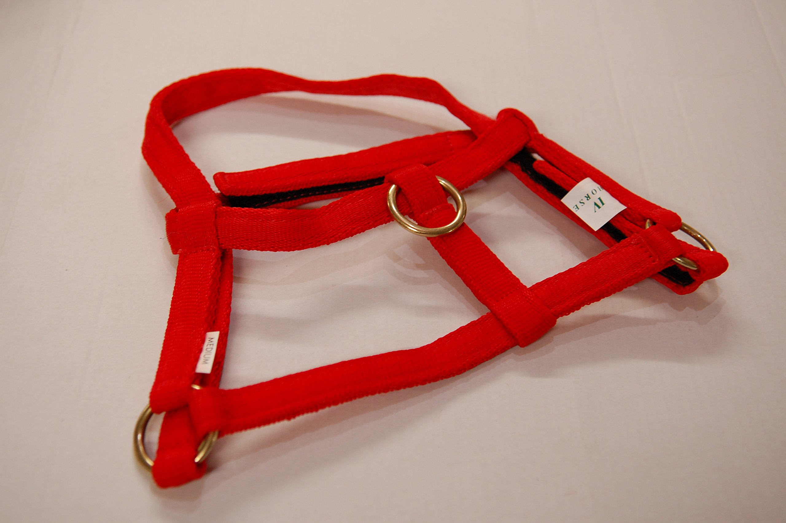 IV Horse Wee Pony Safety Turnout Headcollar (Red, Small) — image 1