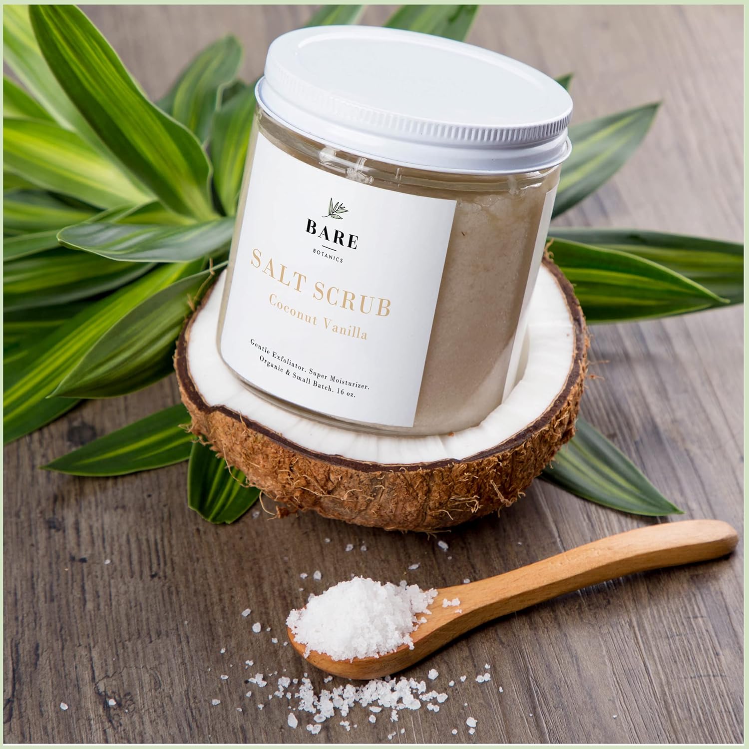 Bare Botanics Body Scrub (Coconut Vanilla) – Gentle Exfoliator & Super Moisturizer | All Natural, Non-Greasy, No Synthetic Fragrances, No Nut Oils | Salt Scrub : Beauty & Personal Care