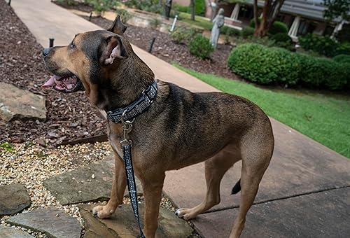 Miniatura 9 de Country Brook Petz - Correa de perro Deluxe Space Aliens - Colección Geek Chic con 5 diseños para cualquier mega ventilador (6 pies, 1 pulgada de