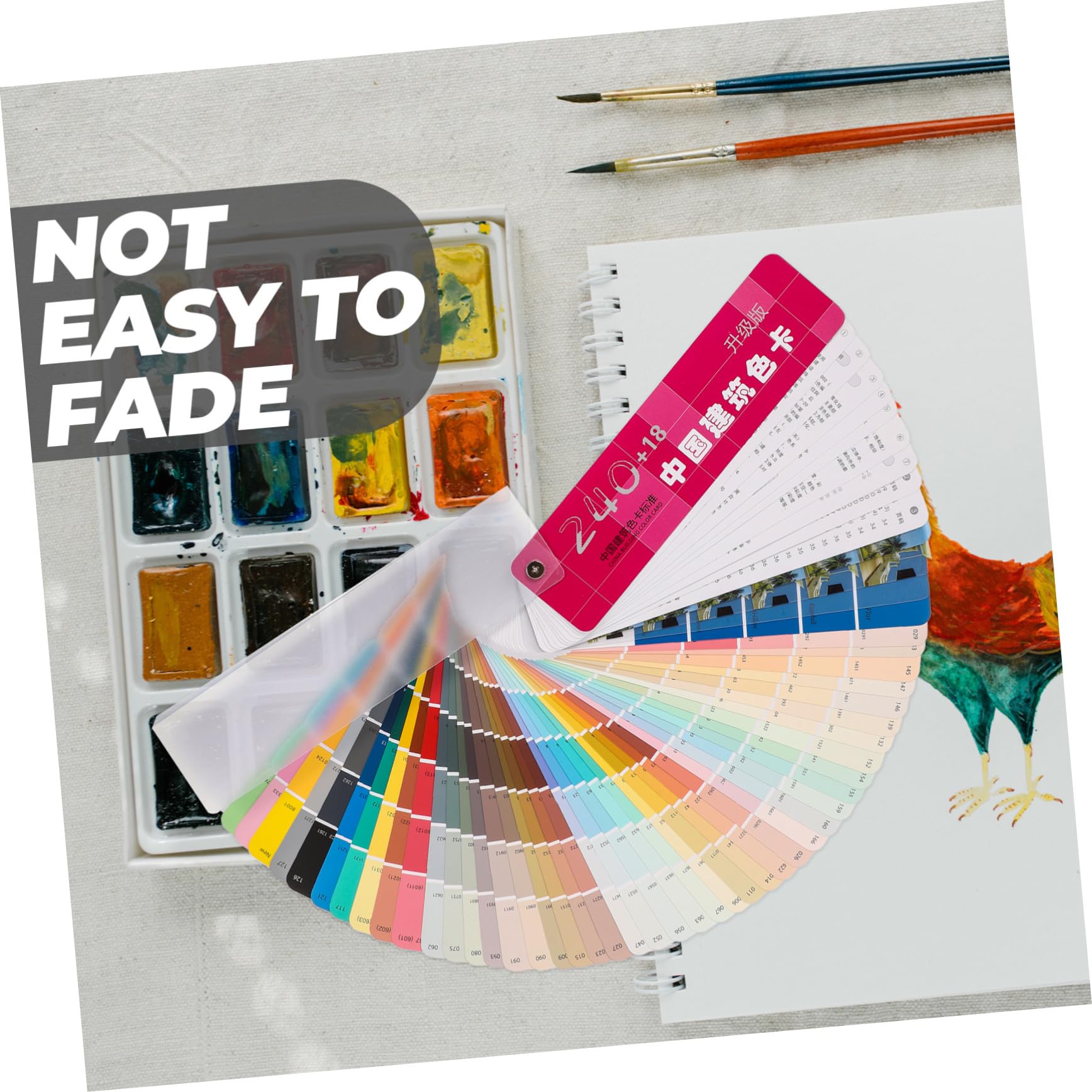 Nuancier Papier Plastique 258 Couleurs Cartes de Couleur Contraste Peinture Architecturale