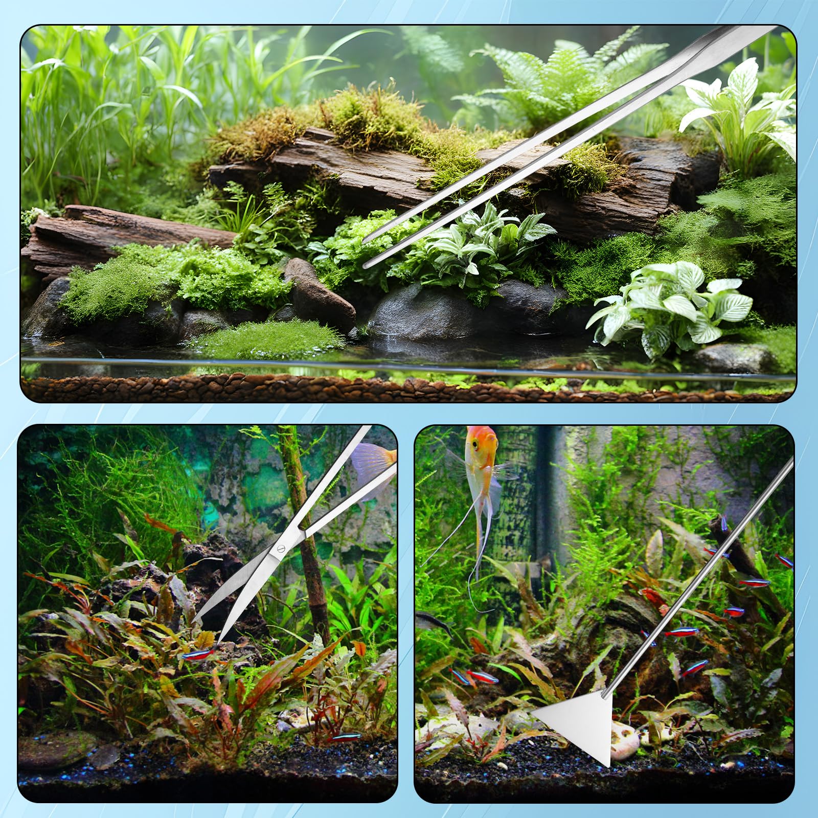 Kit Attrezzi Aquascaping Acquario, Acciaio Inossidabile Attrezzi Piante Acquatiche Pinze Dritte/Curvate Forbici Spatola Raschietto Alghe Teste Sostituzione Lungo Manico Kit Pulizia Vasca Pesci
