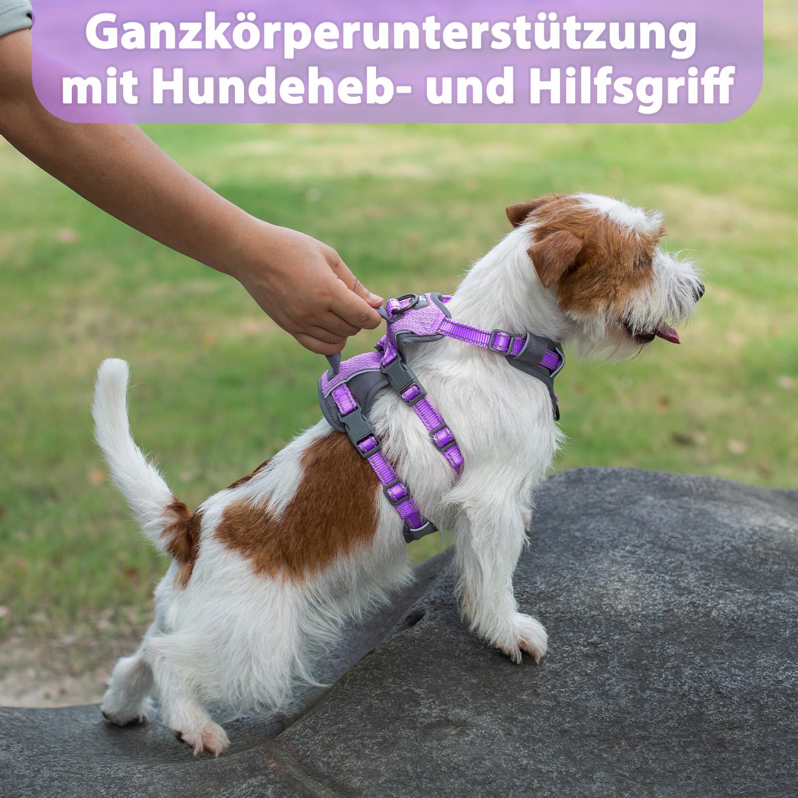 Huntboo Sicherheitsgeschirr Hund Ausbruchsicher, Panikgeschirr für Hunde, Reflektierendes Geschirr Hund mit Griff, Verstellbare Hundegeschirr für kleine, mittelgroße und große Hunde (Lavendel Lila,XS)