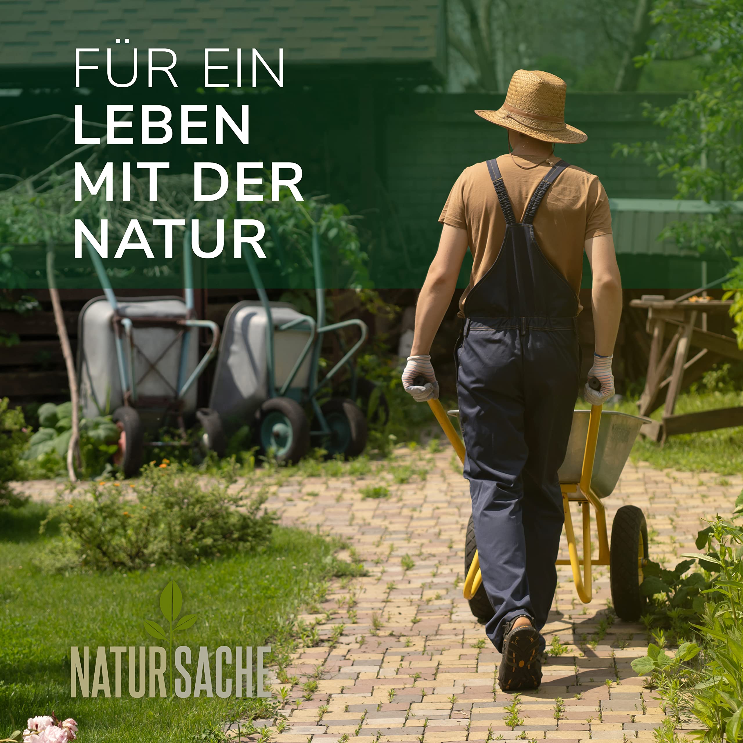 Natursache Kompostwurm-Mix 250 STK./Box + E-Book I Mit 3 Arten lebenden Kompostwürmer I Für eine schnelle & nachhaltige Kompostierung in Schnellkomposter, Thermokomposter und Wurmkomposter etc.