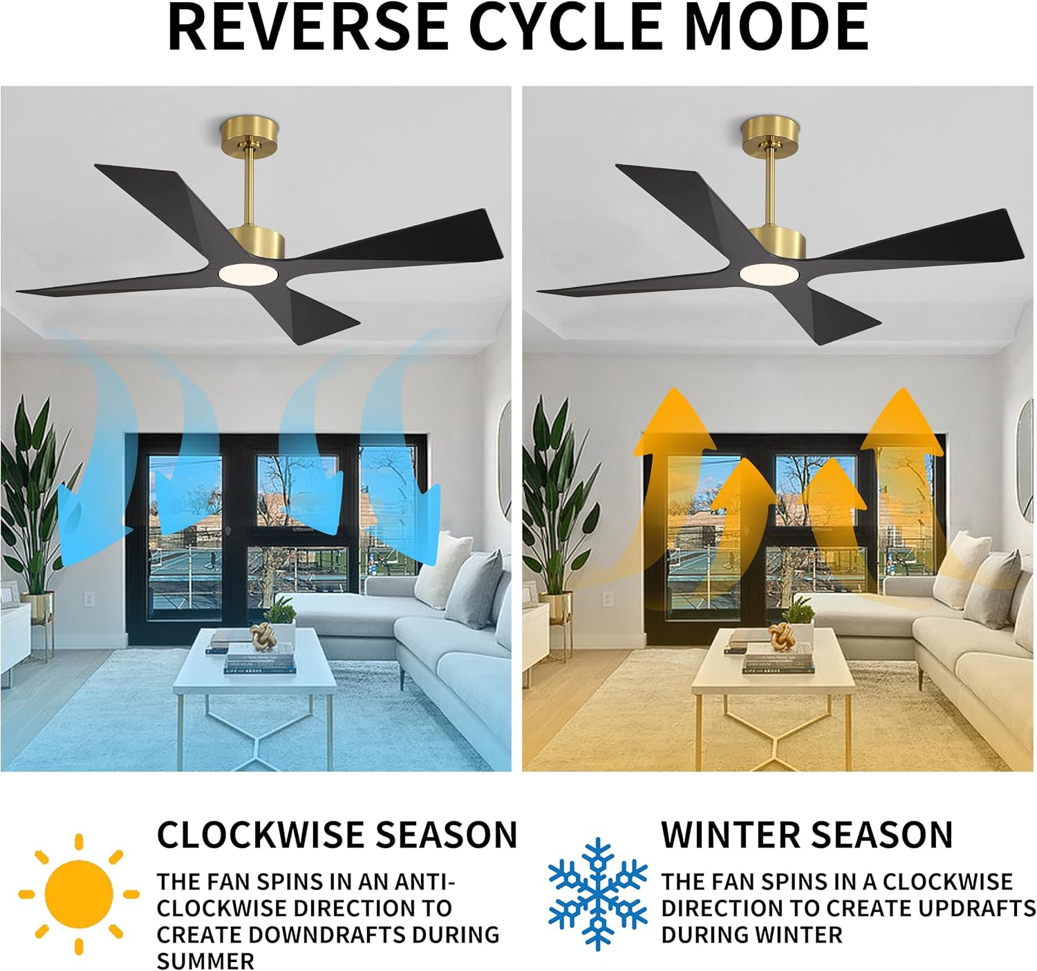 WINGBO 64" Wet Rated Outdoor Ceiling Fan with Lights, 4 ABS Plastic Blades, Reversible DC Motor, 6-Speed Remote Control, 3 CCT, Waterproof Ceiling Fan for Patio Porch Gazebo Garage, Brass and Black