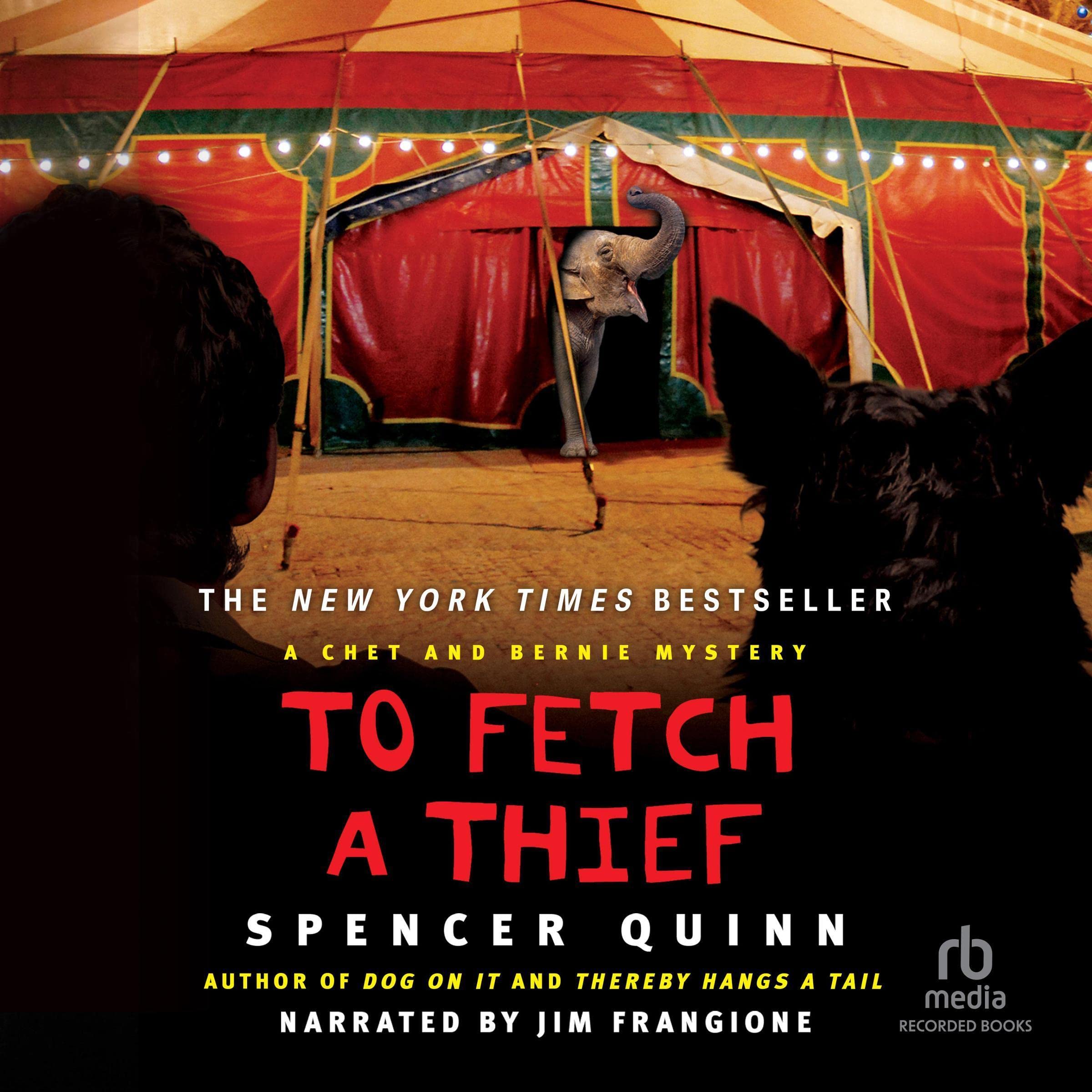 Cover art for To Fetch a Thief